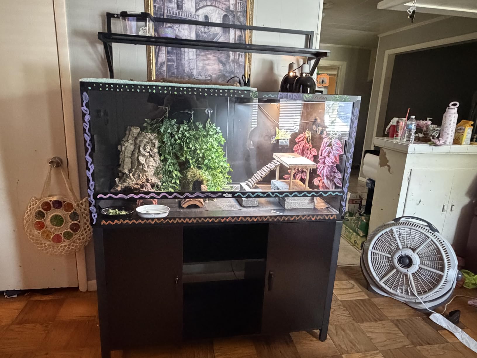 GDLF 48