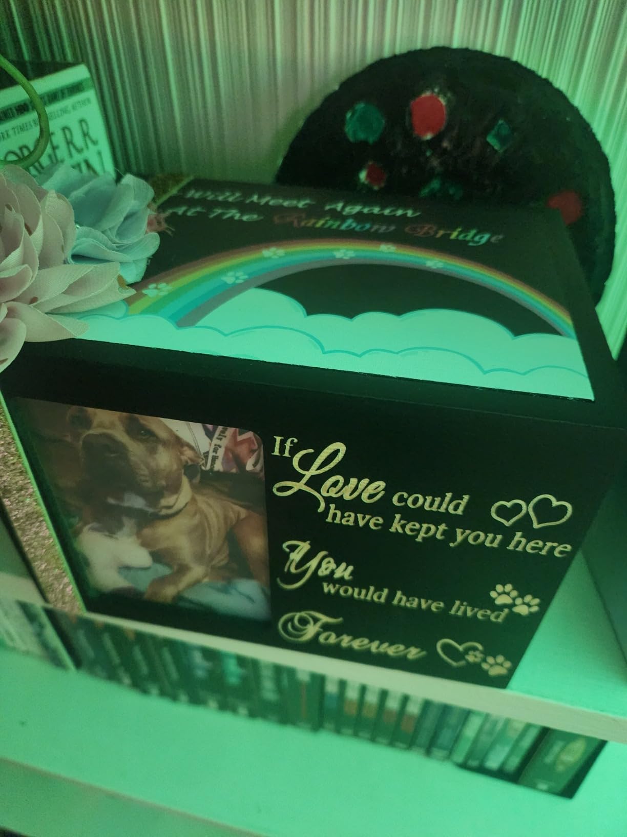 Solid Wood Pet Urns for Dog or Cat Ashes,Rainbow Bridge Memorial customer photo 2