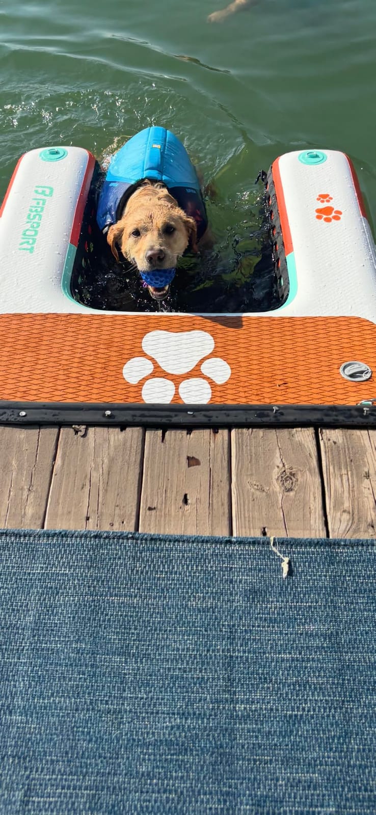 FBSPORT Inflatable Dog Boat Ramp Floating Dock Water Ladder for Pool, Boat, Non-Slip EVA Floating Ladder Pool Ramp for Dog Up to 220 LBs, Safe & Easy Access customer photo 2