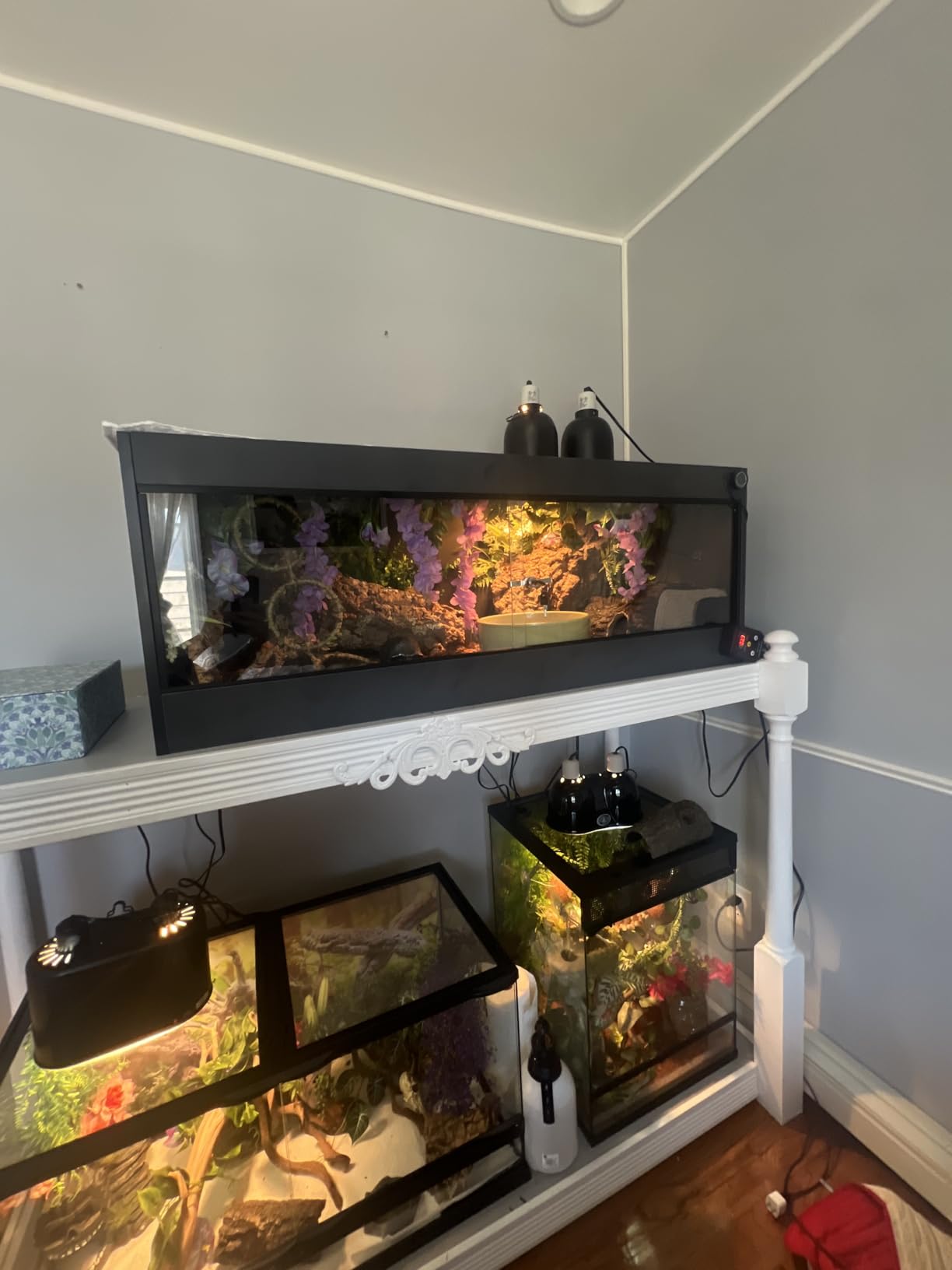 REPTI ZOO 120 Gallon PVC Reptile Tank Terrarium, 48x24x24 Reptile Terrarium for Ball Python Snake Bearded Dragon Gecko, Large Reptile Glass Tank with Sliding Door & Screen Ventilation customer photo 1