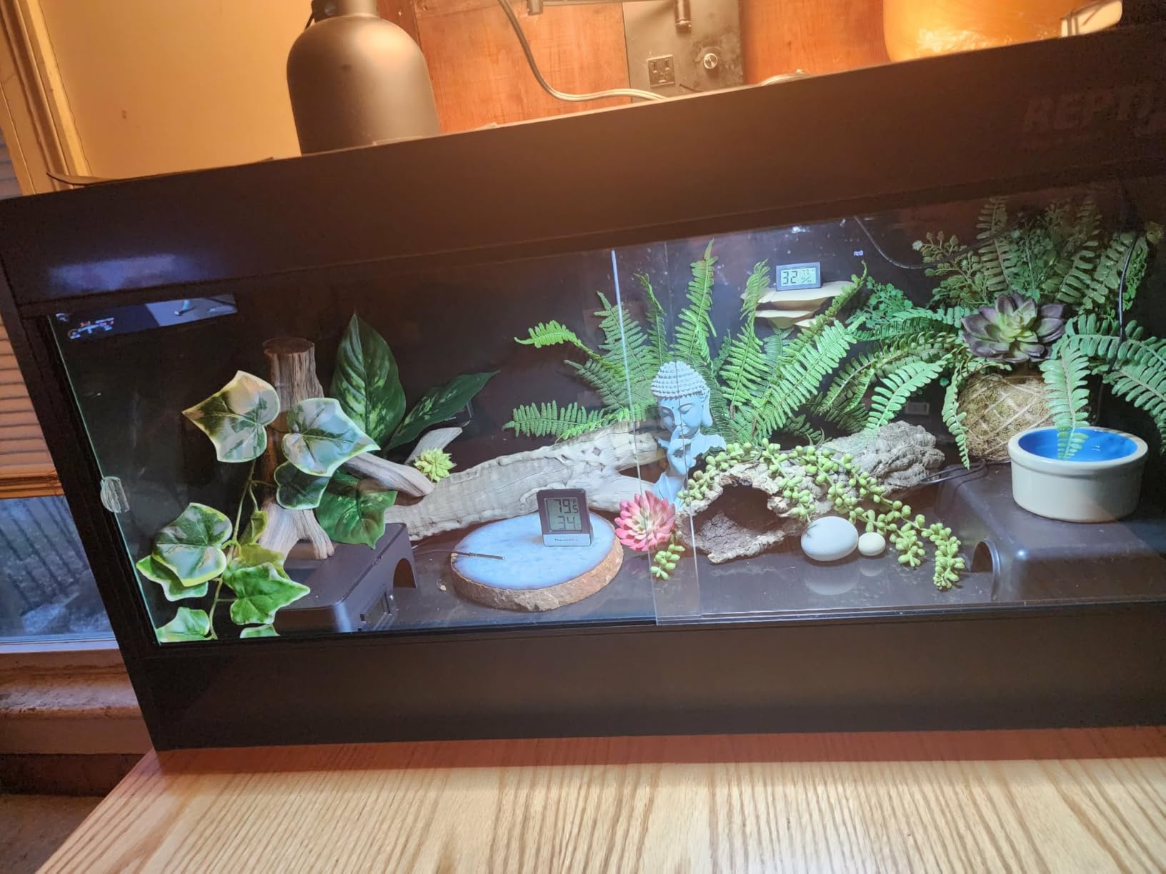 REPTI ZOO 120 Gallon PVC Reptile Tank Terrarium, 48x24x24 Reptile Terrarium for Ball Python Snake Bearded Dragon Gecko, Large Reptile Glass Tank with Sliding Door & Screen Ventilation customer photo 2