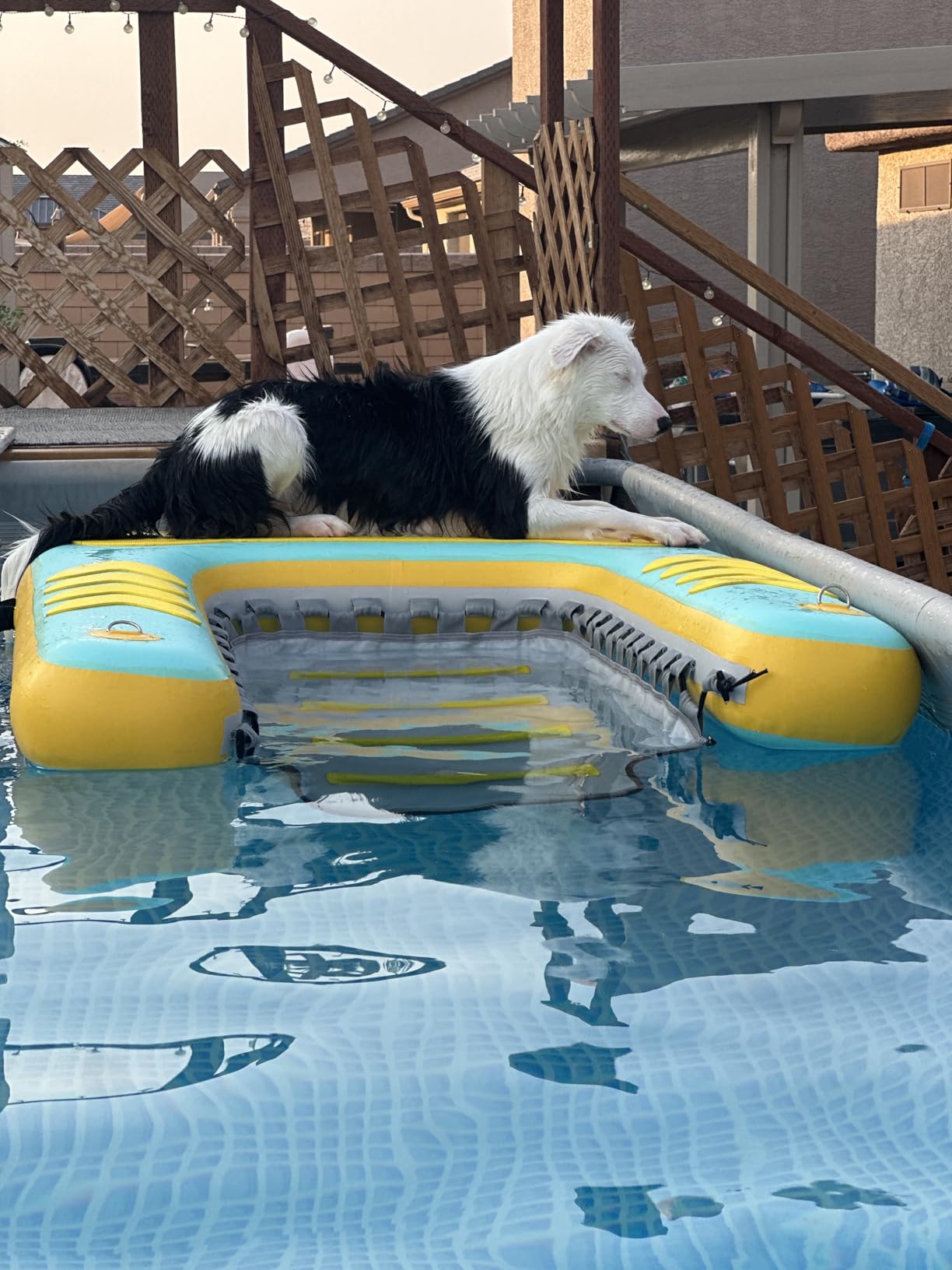 Lesotc Inflatable Dog Pool Ramp, 60x40 inch Extra Large Dog Dock Platform for Lake, Pool, Boat, Non-Slip EVA Surface Easy Water Exit for Large and Senior Dogs, Support up to 240 lbs (Blue and Yellow) customer photo 2
