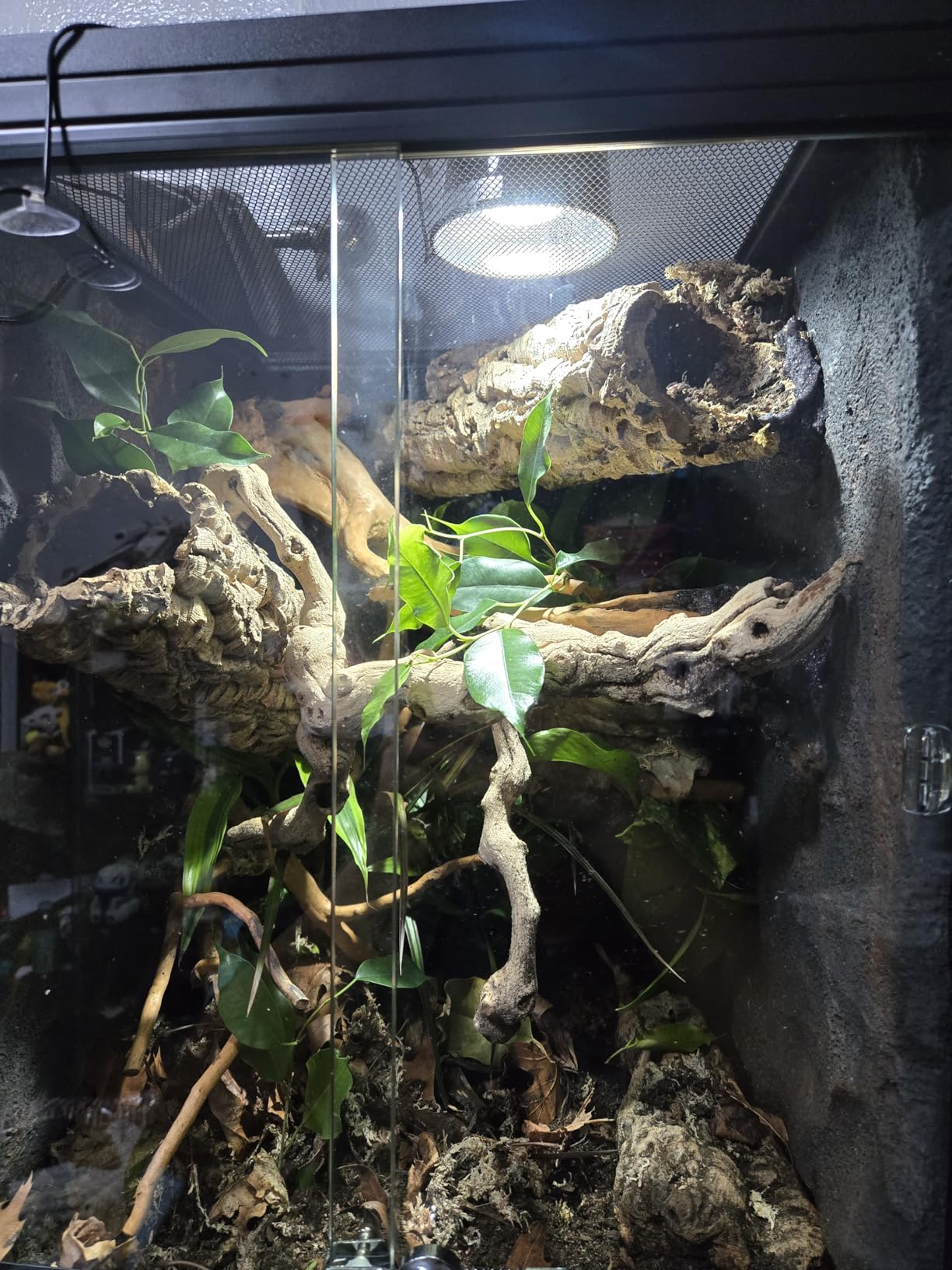REPTI ZOO 67 Gallon PVC Tall Reptile Tank, 24 x18x36 inch Large Reptile Terrarium for Gecko Lizard Chameleon Frog Snake, Enclosure Habitat with Sliding Door & Top Screen Ventilation customer photo 2