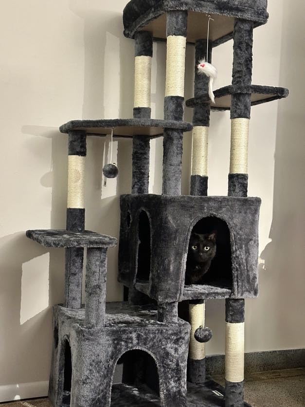Globlazer Heavy Duty Cat Trees for Big Cats Maine Coon, F61, Light Grey customer photo 2