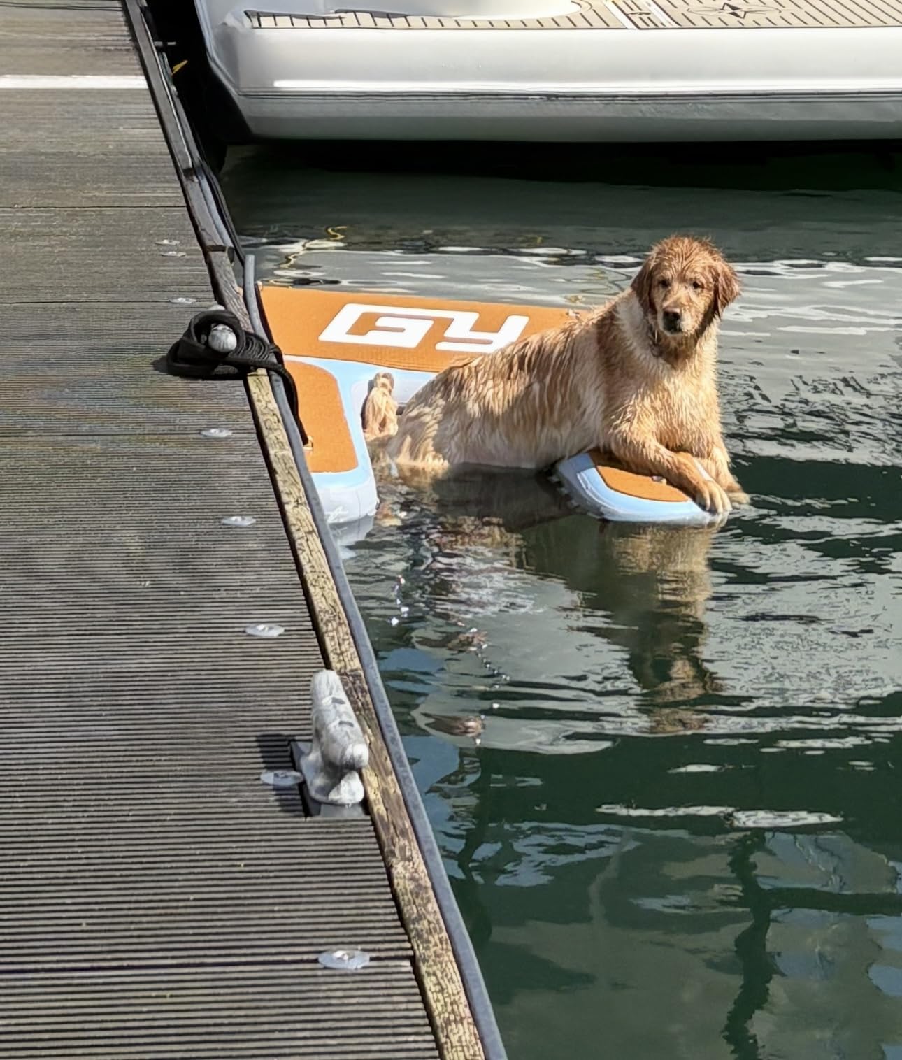 60x40 inch Dog Pool Ramp, Up to 230Lbs, Dog Ladder in Water for Boat/Pool | Fit Most Dog Size, 98% Area EVA Covered, Claw-Friendly and Stable, Pool Ramp For Dog, Quick Inflate and Travel-Friendly - With Full Kit customer photo 1
