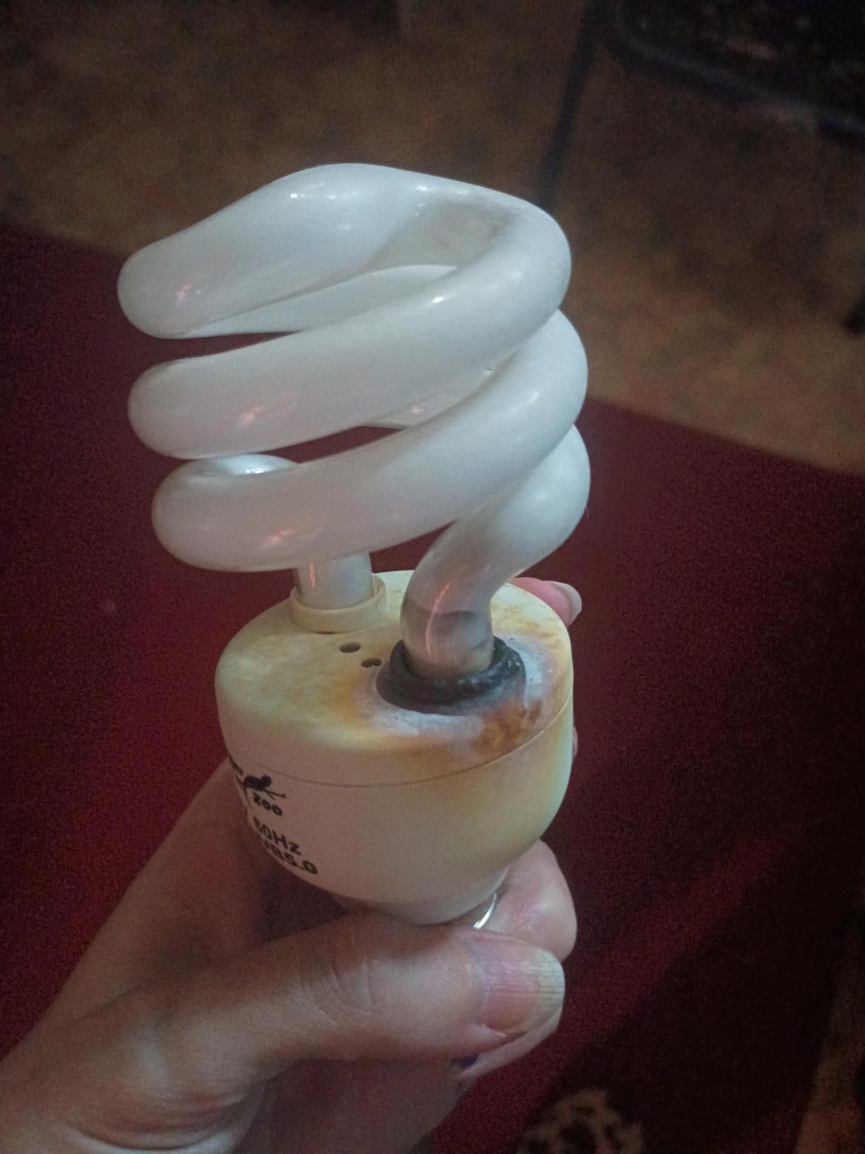 UVB Reptile Light UVA UVB Bulb, 10.0 18W UVB Light for Reptiles Bearded Dragons, UVA UVB Reptile Light Bulb Reptile Lamp for Bearded Dragon Lizards Turtles Snakes Geckos Desert Reptile Tank customer photo 1