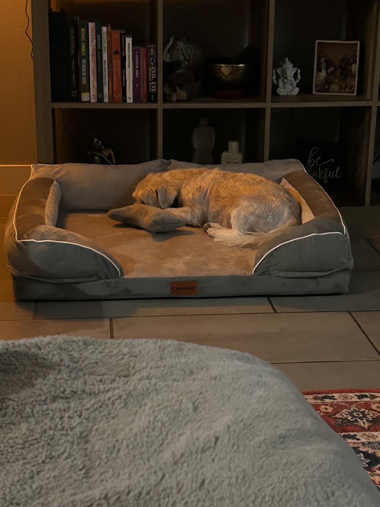 CWAWZ XXL Dog Bed for Extra Large Dogs, Giant Orthopedic Dog Beds with Cooling Gel Memory Foam, Waterproof Pet Bed with Removable Washable Cover, 53