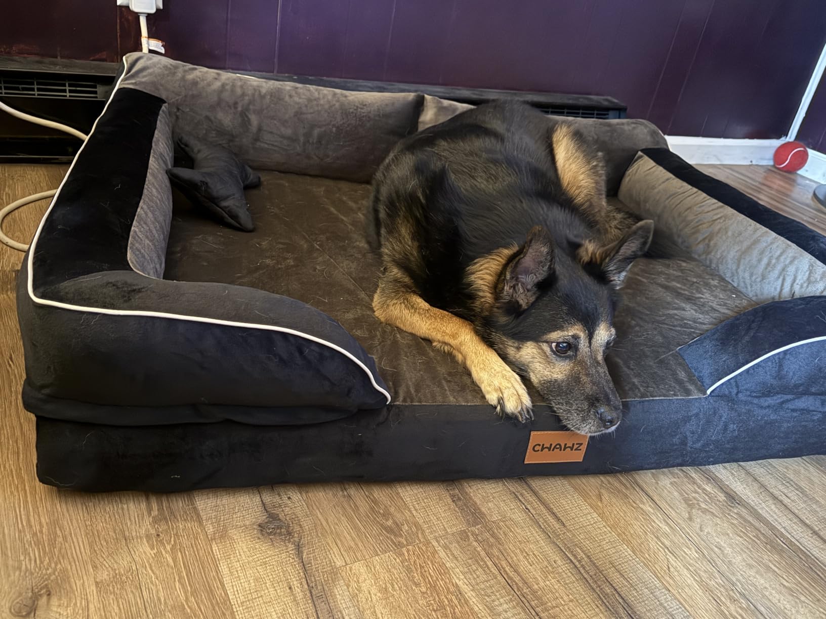 CWAWZ XXL Dog Bed for Extra Large Dogs, Giant Orthopedic Dog Beds with Cooling Gel Memory Foam, Waterproof Pet Bed with Removable Washable Cover, 53