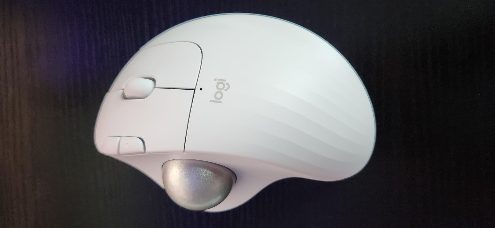 Logitech Ergo M575S Wireless Bluetooth Trackball Mouse - Black Silver Ball customer photo 1