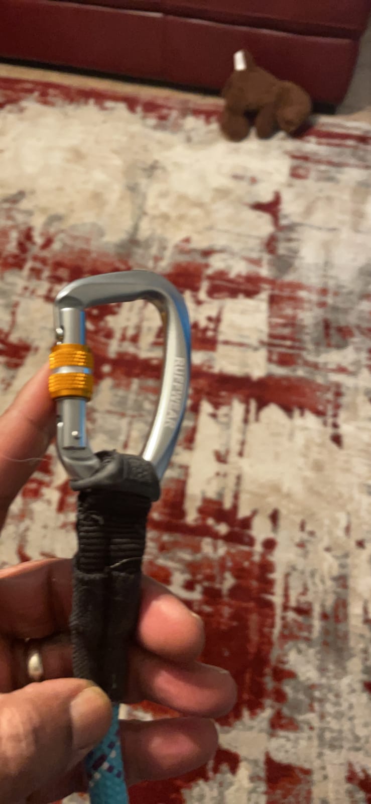 Ruffwear, Knot-a-Leash, Reflective 5 ft Rope Lead, Blue Pool, Large | Climbing-Inspired, 11 mm Rope Diameter, Secure Auto-Locking Swivel Carabiner, Tubular Handle, Accessory Loop for Pick-Up Bags customer photo 1