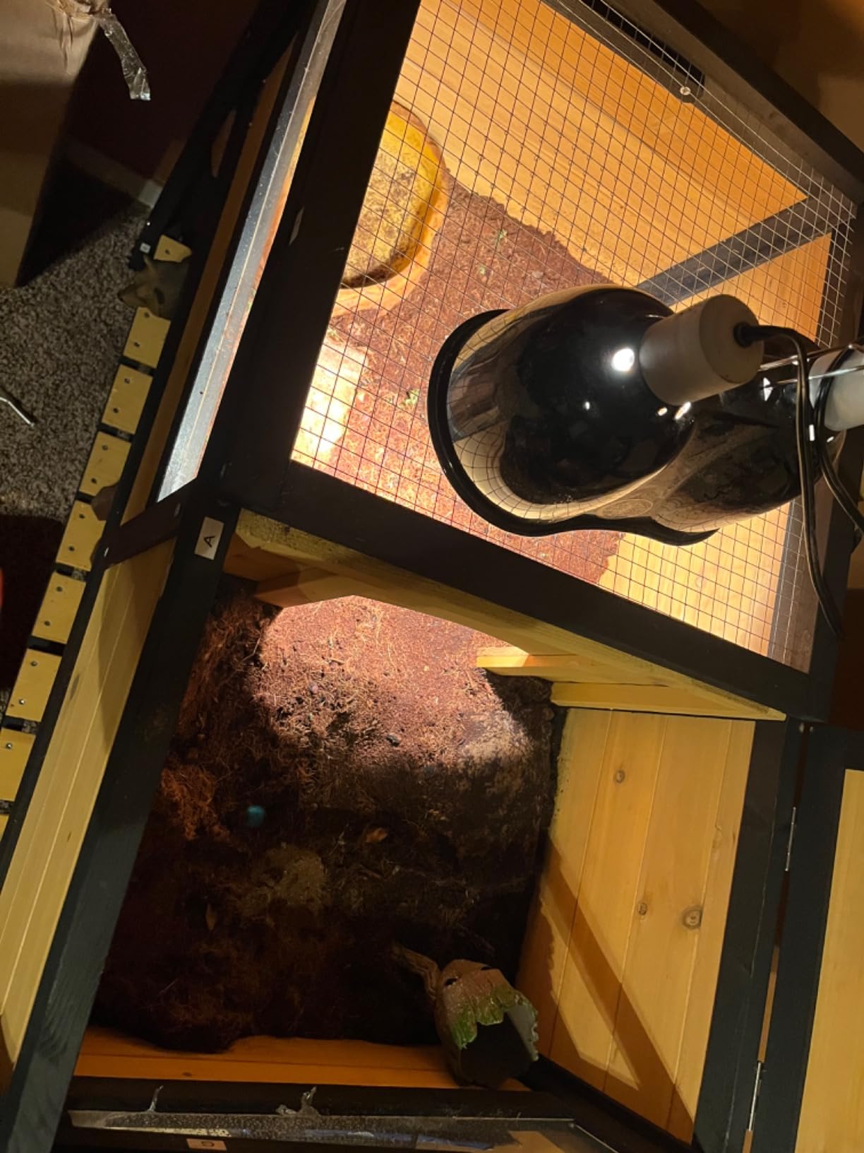 PawHut Tortoise Habitat with Shelf Storage, Tortoise Enclosure with Weather Protection, Reptile Gift Accessory, Reptile Enclosure with Tray, Light Support Frame, Light Gray customer photo 1
