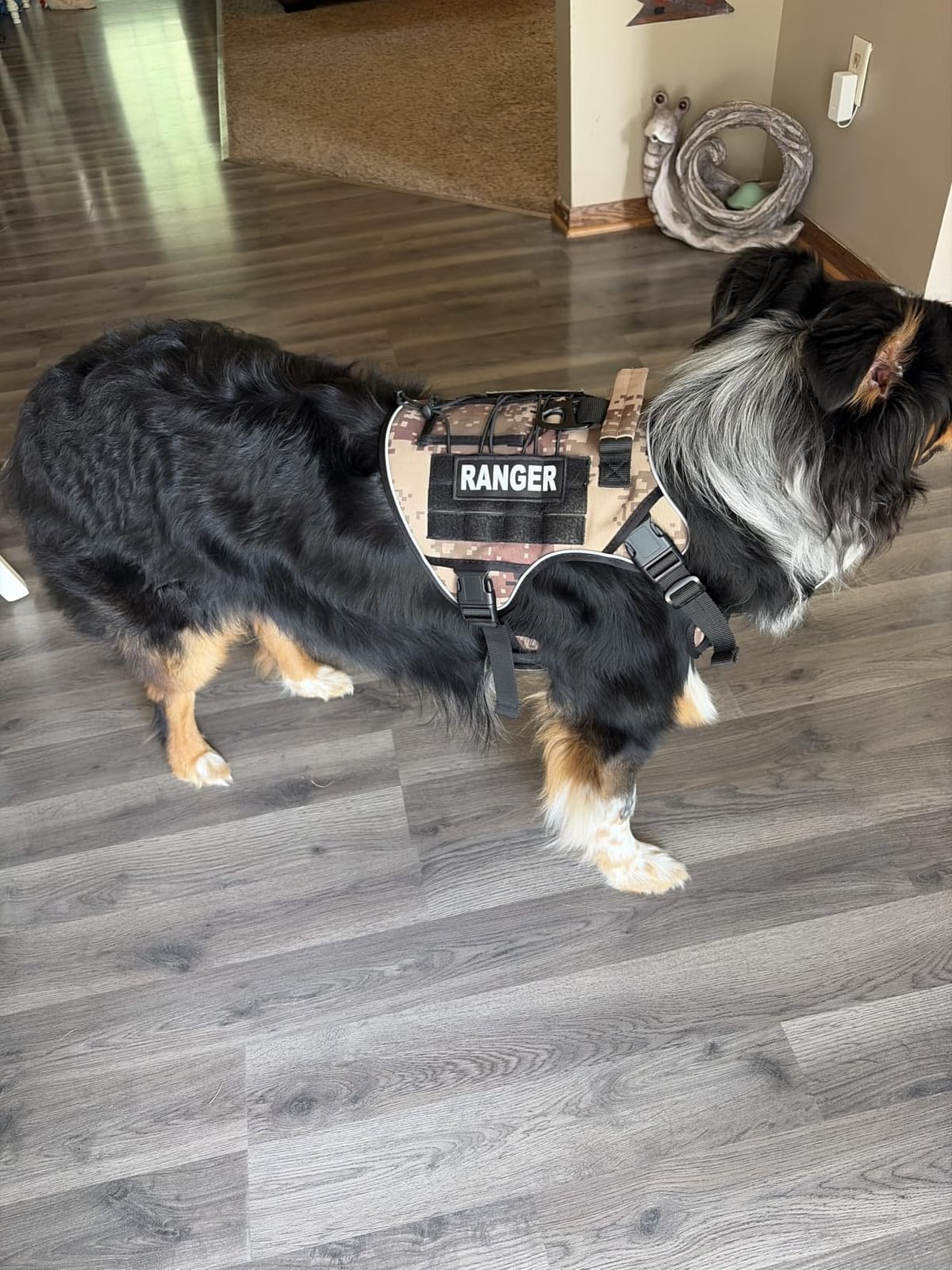 WINGOIN Black Tactical Dog Harness for Extra Large Dogs, No Pull Dog Harness | Heavy Duty with Handle, Adjustable Reflective, Military K9 Style, Big Size Dog Vest, for Great Dane, for Walking Running Hunting customer photo 2