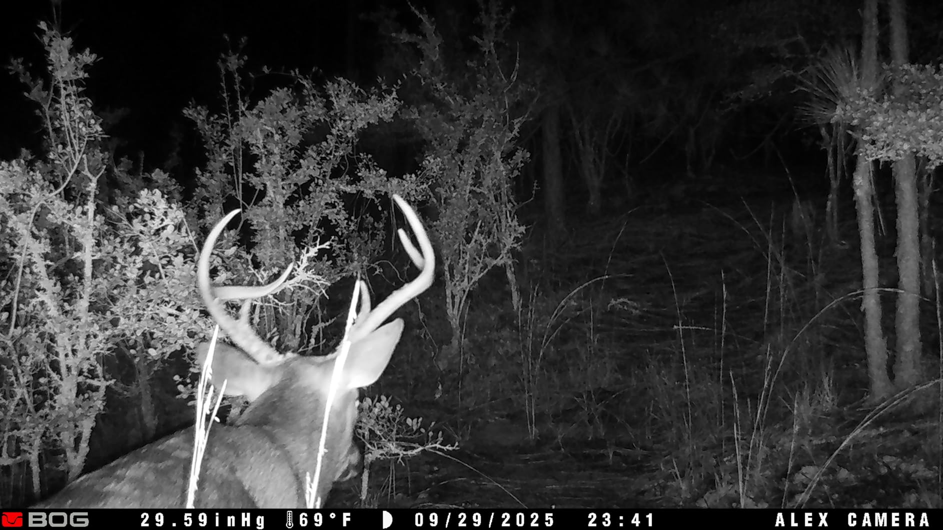 Moultrie Edge 2 Cellular Trail Camera customer photo 1