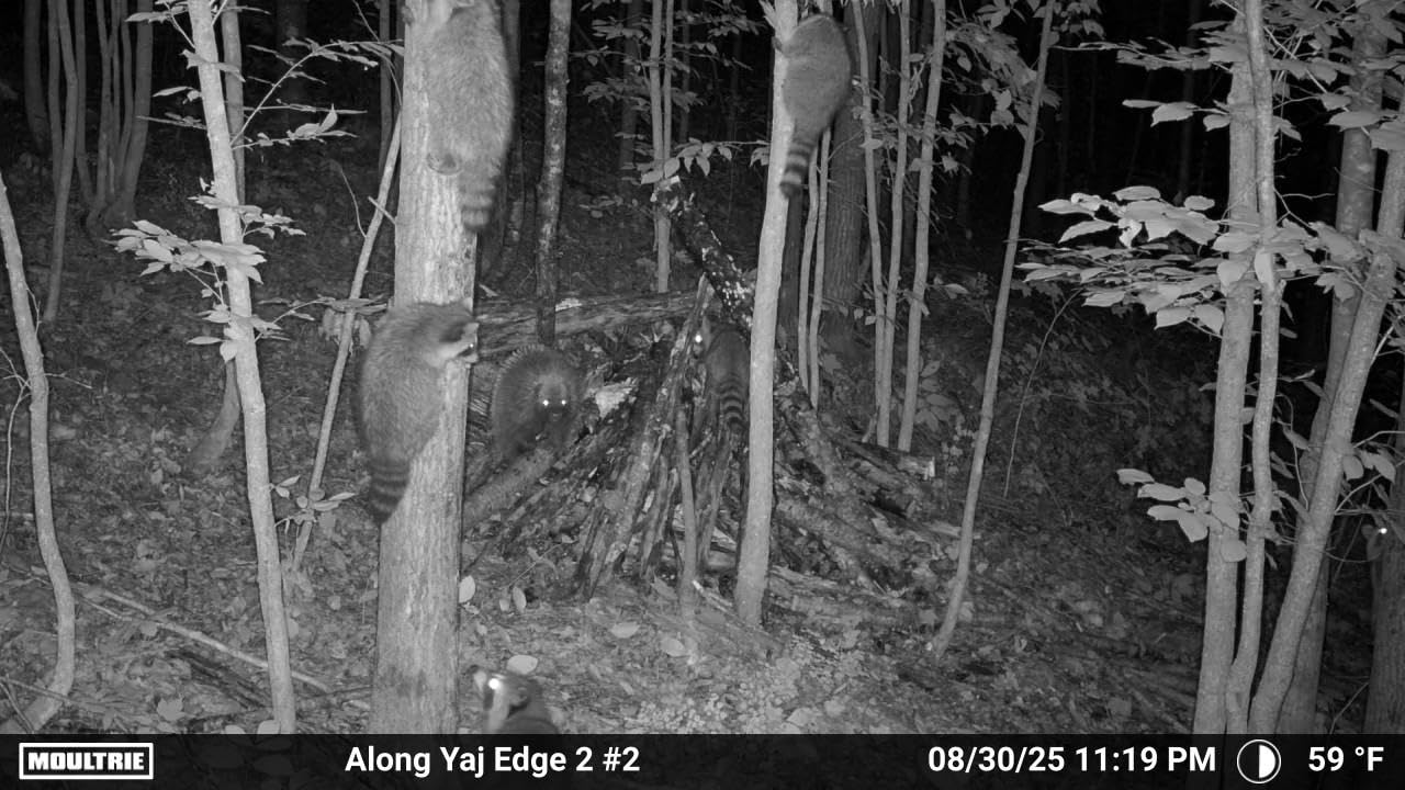 Moultrie Edge 2 Cellular Trail Camera customer photo 2