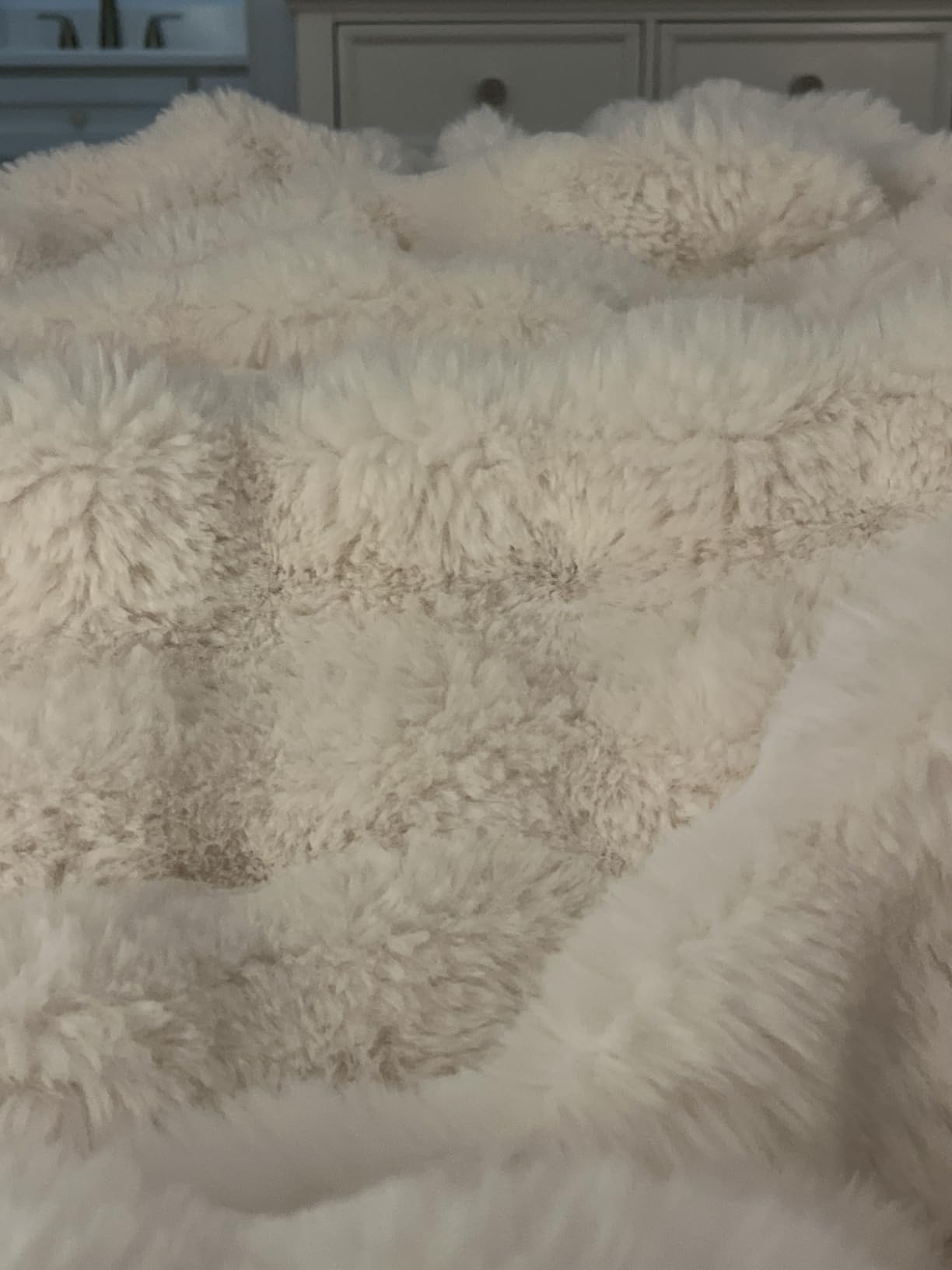 Ultra Soft Cozy Faux Fur Throw Blanket, Fuzzy Plush Thick Bubble Blanket, Luxury Fluffy Blanket for Couch, Sofa, Bedroom, and Living Room, 50x60 Inches, Cream White customer photo 2