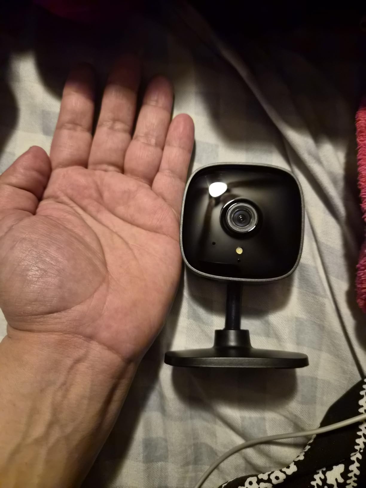 Tapo 1080P Indoor Security Camera, Baby Monitor, Dog Camera, C101 customer photo 1