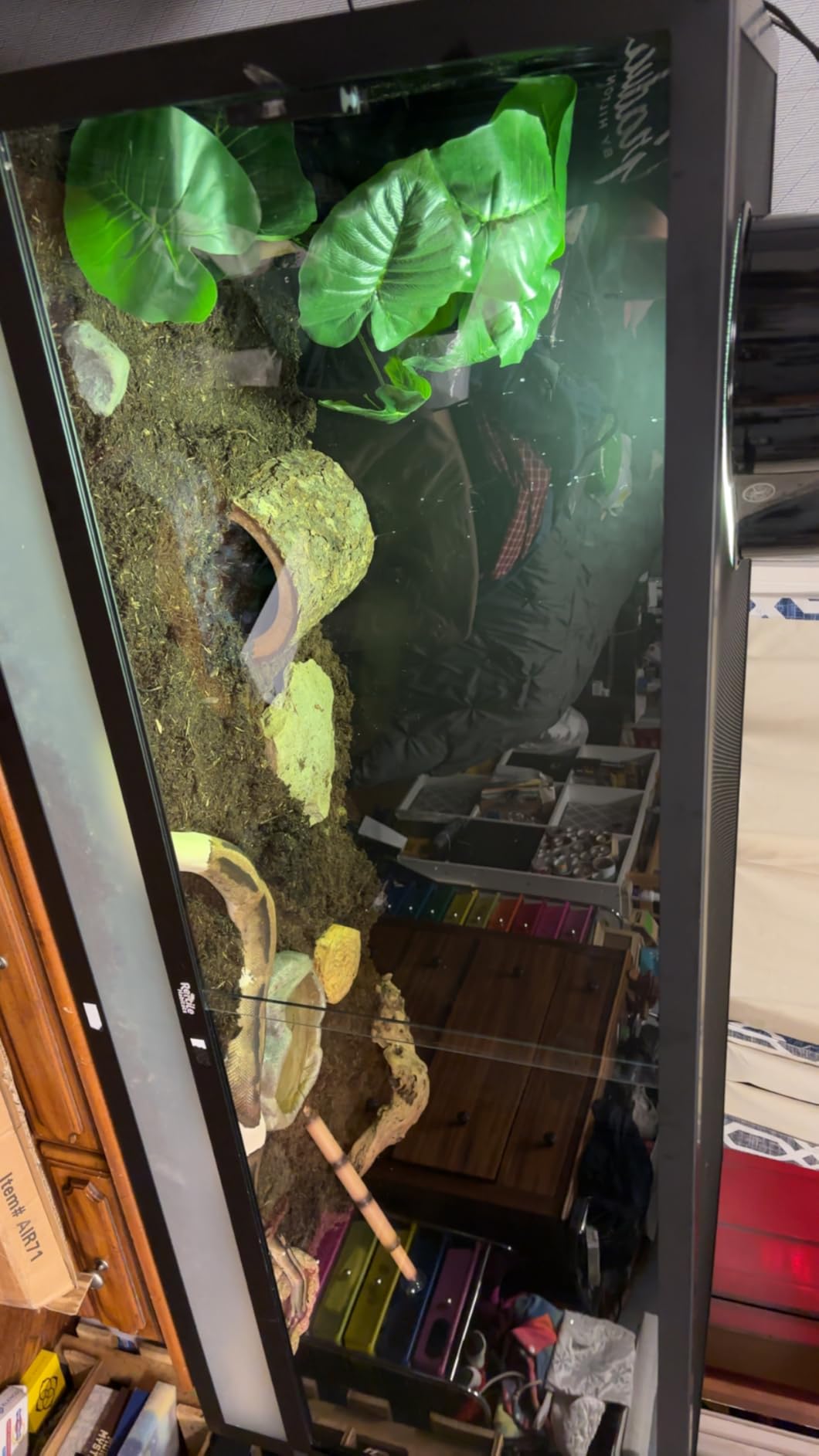 Reptile Habitats 5x2x2 (150 Gallon) Reptile Enclosure V3, Features PVC Panels, Glass Doors, Lightweight, Easy to Assemble, Heavy Duty Screen, Aluminum Frame customer photo 1