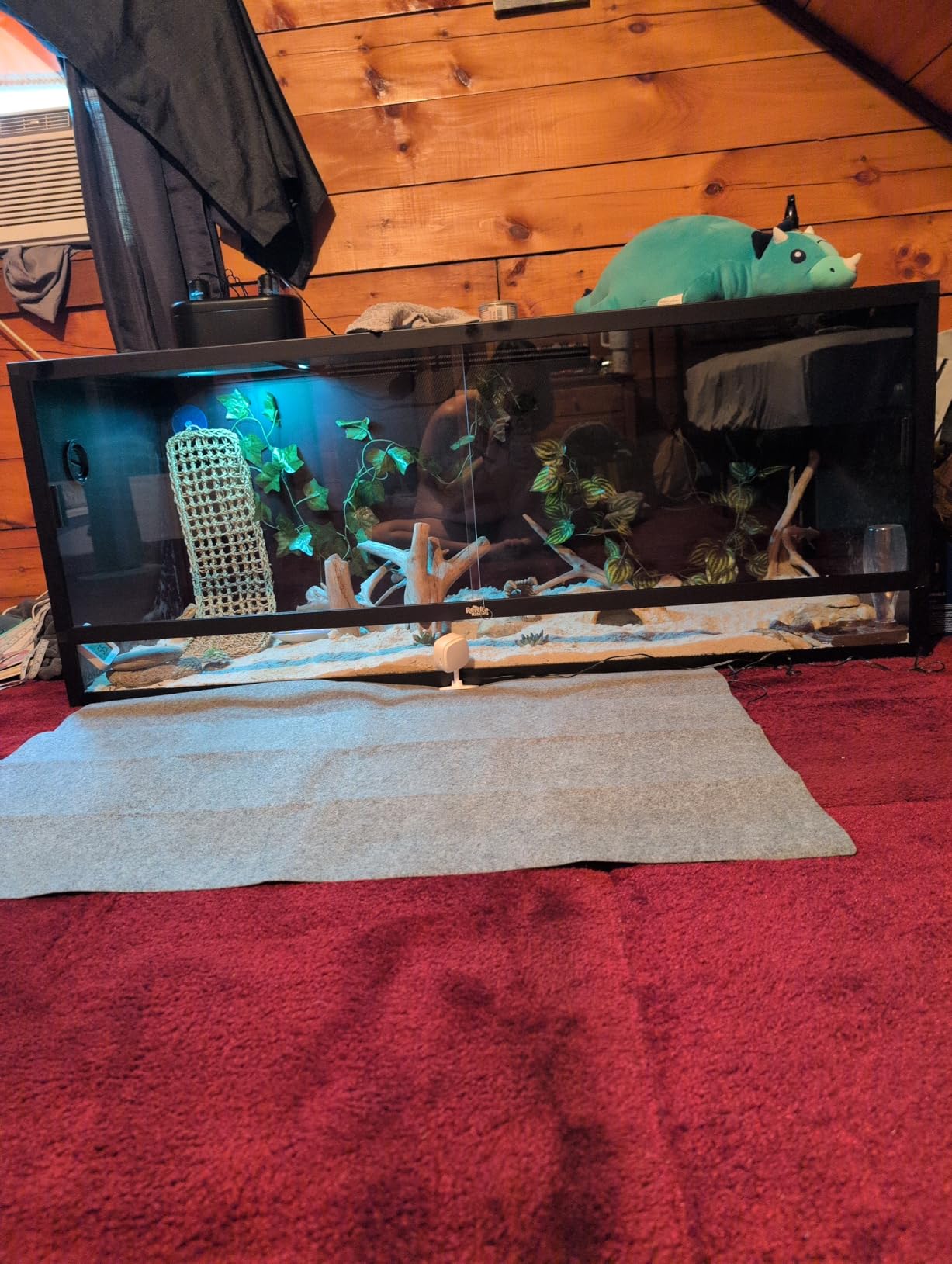 Reptile Habitats 5x2x2 (150 Gallon) Reptile Enclosure V3, Features PVC Panels, Glass Doors, Lightweight, Easy to Assemble, Heavy Duty Screen, Aluminum Frame customer photo 2