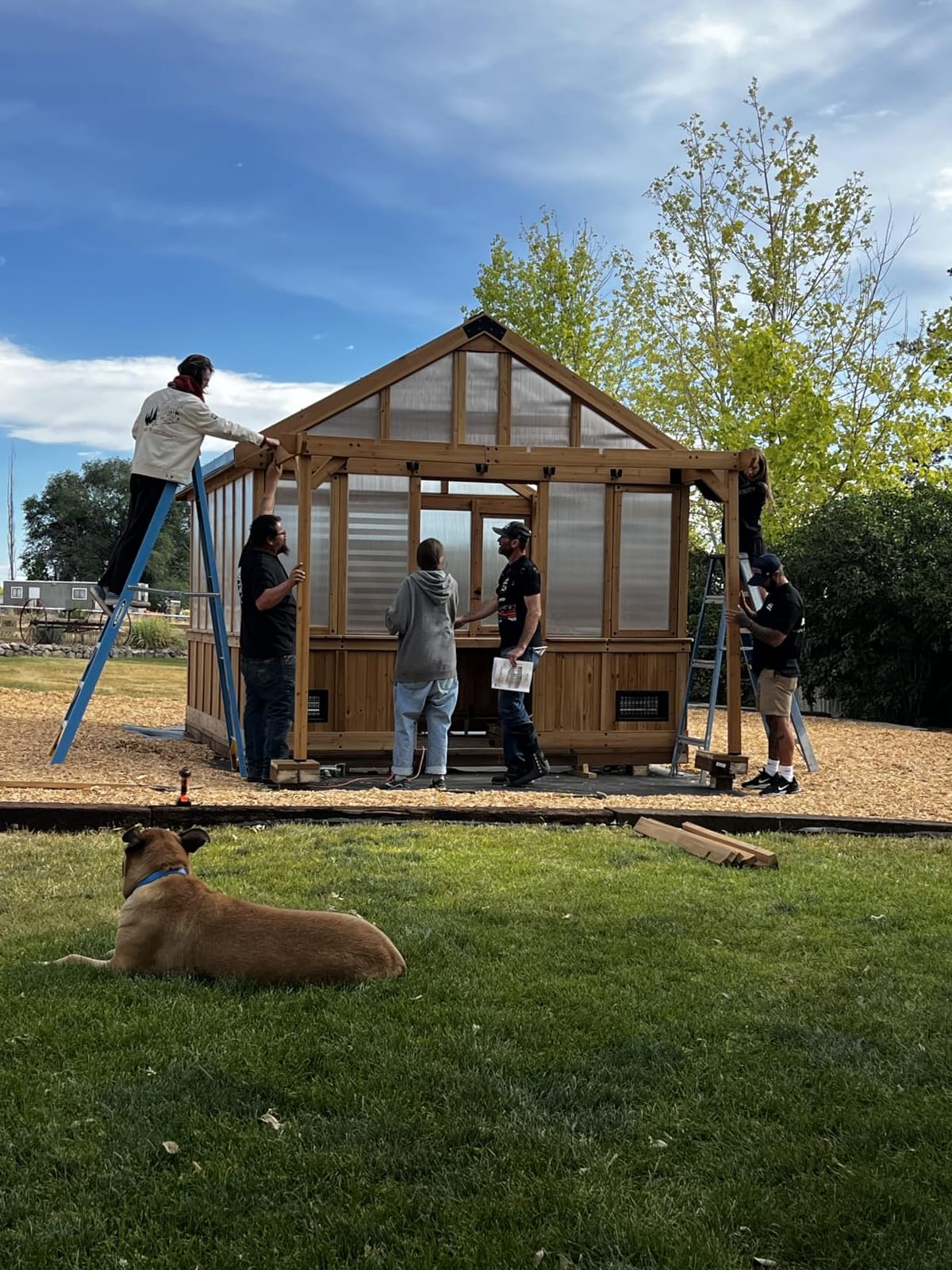 Backyard Discovery Bellerose 9' x 6' White Cedar Wood and Polycarbonate Walk-in Greenhouse Kit with Pergola, Exhaust Fan, Window, Hose Hook-Ups, PowerPort, Staging Shelves for Outdoor Gardening customer photo 1
