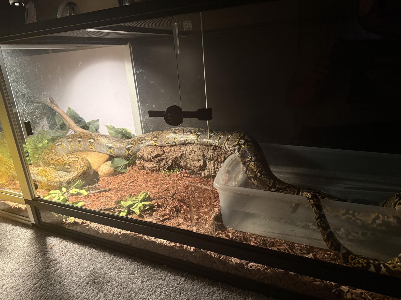 8FT PVC Reptile Enclosure 8x2x2FT, 240 Gallon Modular Expandable Terrarium with Tempered Glass Front Opening Sliding Doors, Lockable Habitat for Bearded Dragon Gecko Lizard Snake, Black customer photo 2