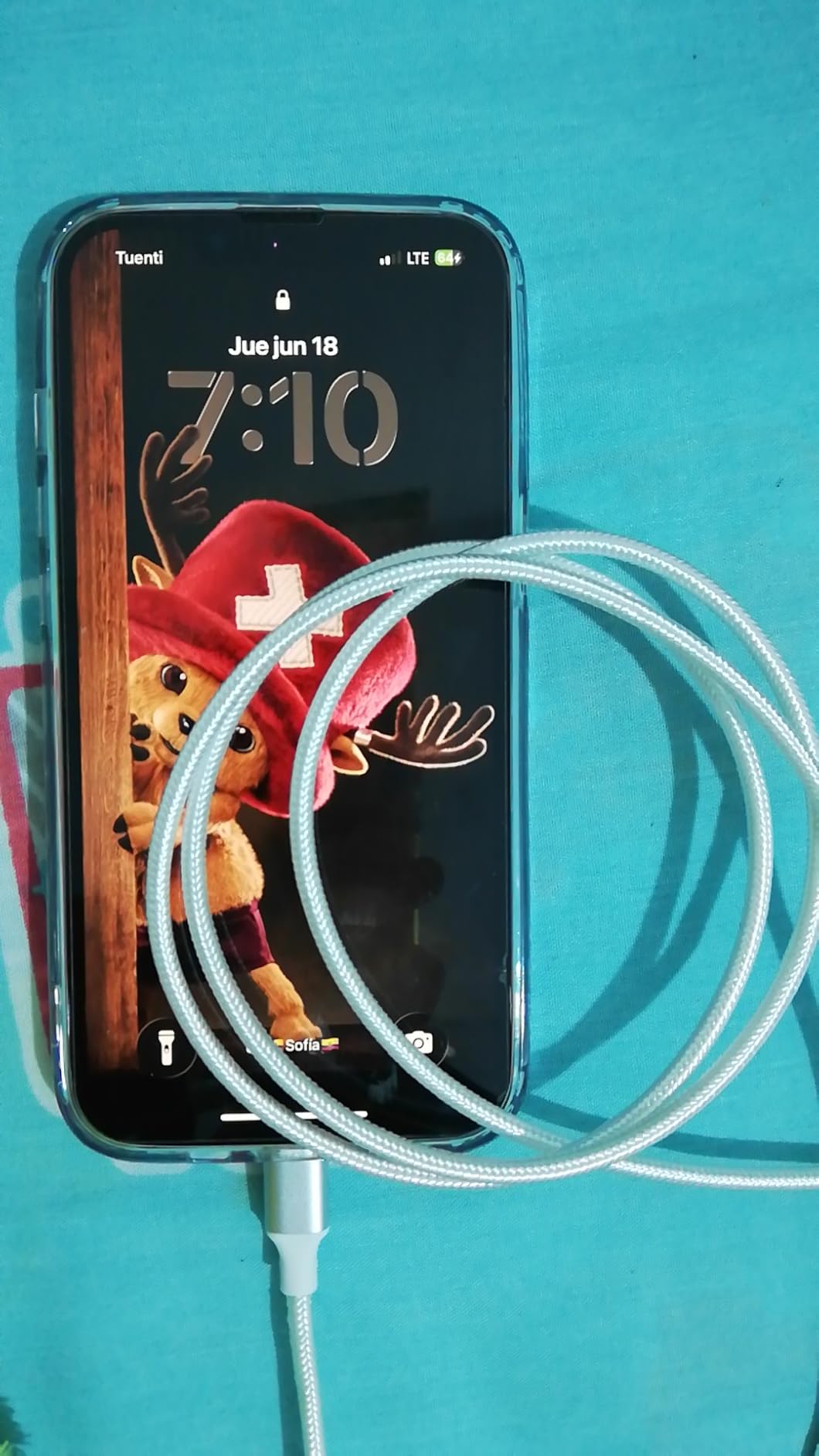 iPhone Charger [Apple MFi Certified] 6FT iPhone Charger Cord Fast Charging USB to Lightning Cable Braided USB Phone Cable Cord Compatible with iPhone 14 13 12 11 Pro Max XR XS X 8 7 6 Plus SE, iPad customer photo 2