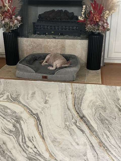Spotted Play Orthopedic Dog Bed with Sides - Dog Sofa Beds for Extra Large Dogs, Supportive Foam Pet Couch Bed with Washable Removable Cover, Waterproof Lining and Non-Slip Bottom, Grey - XXL customer photo 2