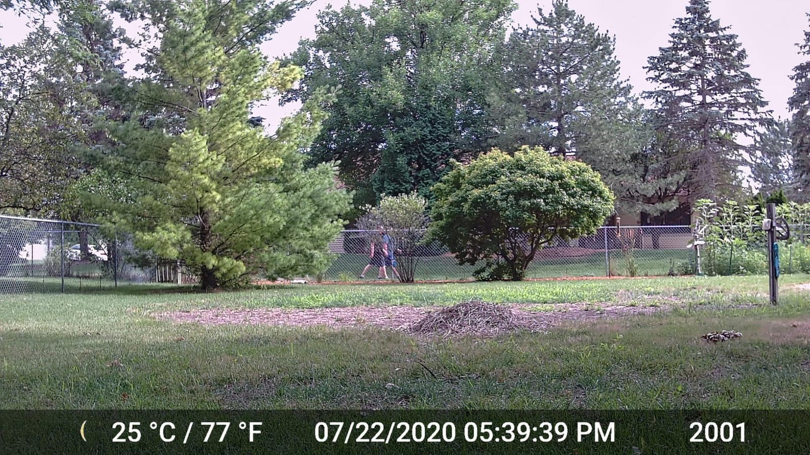 GardePro A3S 2-Pack Trail Camera, 64MP Photo, 1296P HD Video with Sound | 0.1s Trigger, 100ft No-Glow Night Vision, Motion Activated, Non-Cellular, Non-WiFi customer photo 1