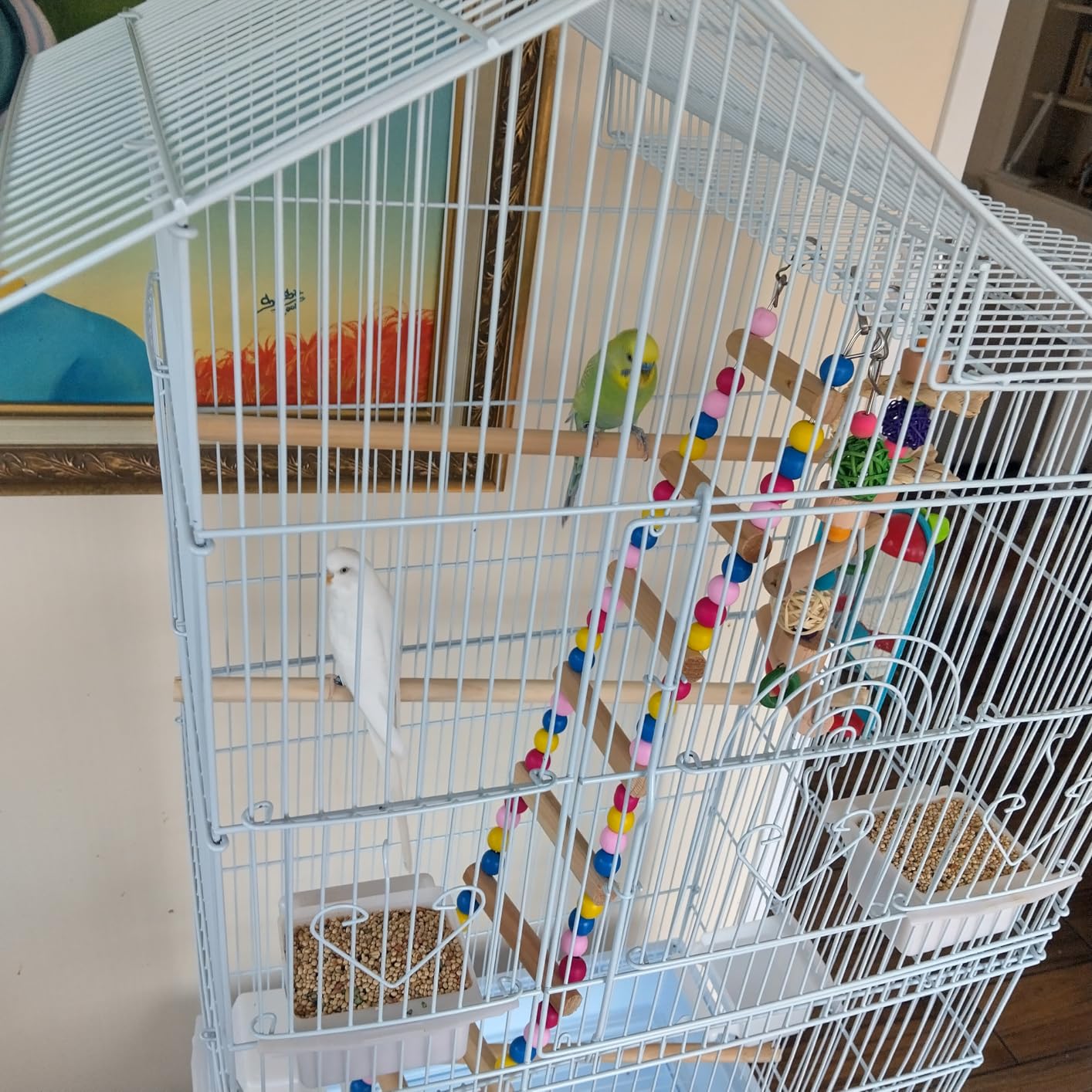 DWVO 62-inch Metal Bird Cage for Cockatiels, Parrots, Pigeons customer photo 2
