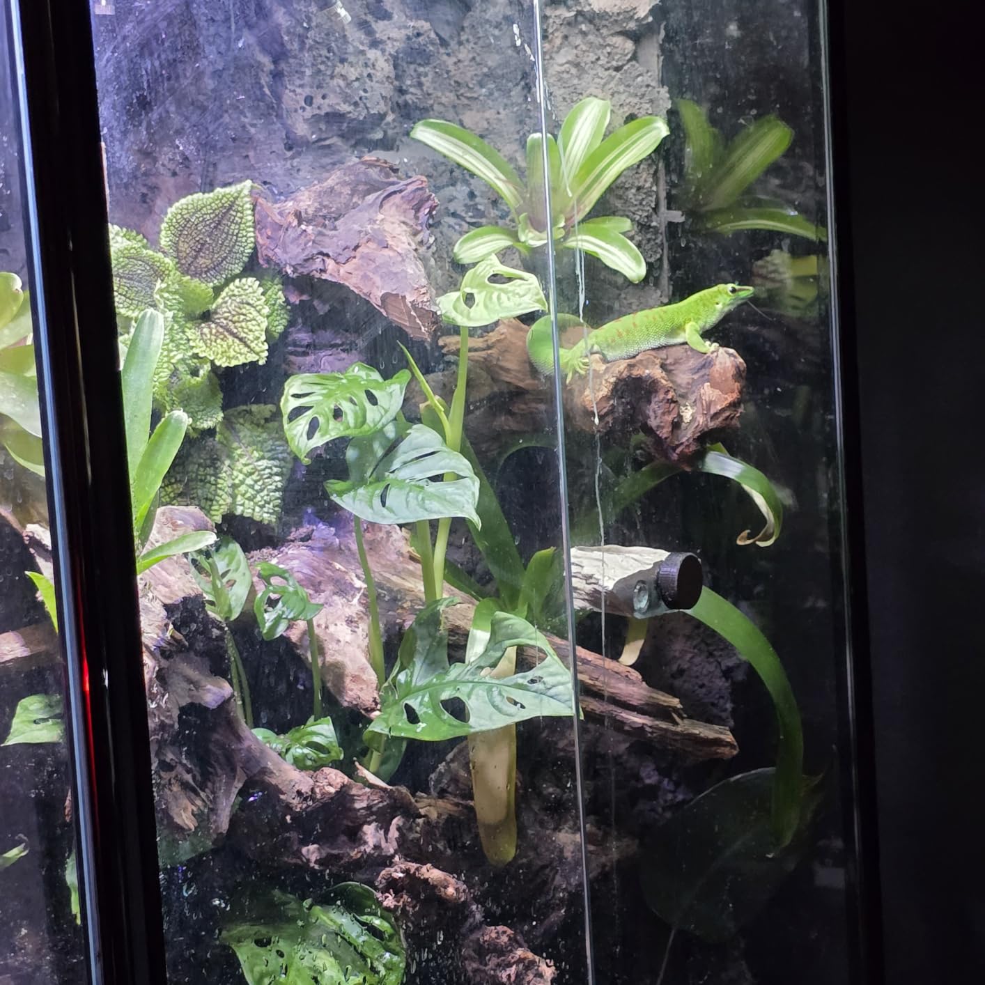 Herture 120 Gallon Reptile Tank Stand, 4x2x2 Reptile Enclosure Stand, with Storage Cabinet and Power Outlet, for Bearded Dragons, Snakes, Lizard Terrarium Black PG08XYB customer photo 2