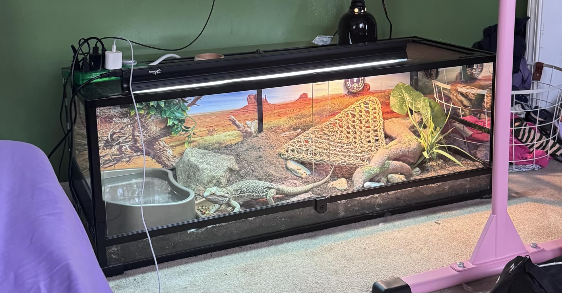 T5 UVB Reptile Light Fixture HO UVB Bulb Lighting Combo Kit, 10.0 UVB Light for Reptiles Terrarium Hood with 24W Reptile Light Bar UVA UVB Desert Lamp for Bearded Dragon Turtle Tank, 22Inch customer photo 2