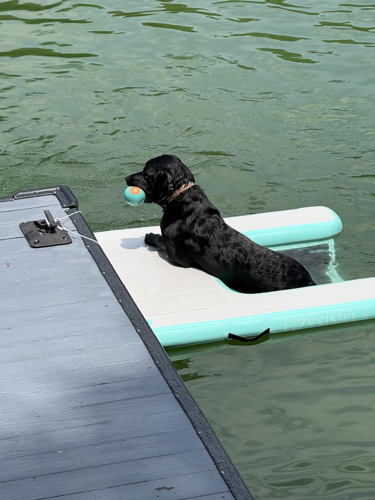 Inflatable Large Dog Water Ramp Float Floating Ramp-Swimming Pets Up to 200 Pounds Large Dogs-Inflatable Stairs for Boats, Docks, with Pump/Rope/Repair Kit - PVC Anti-Slip Fabric customer photo 1