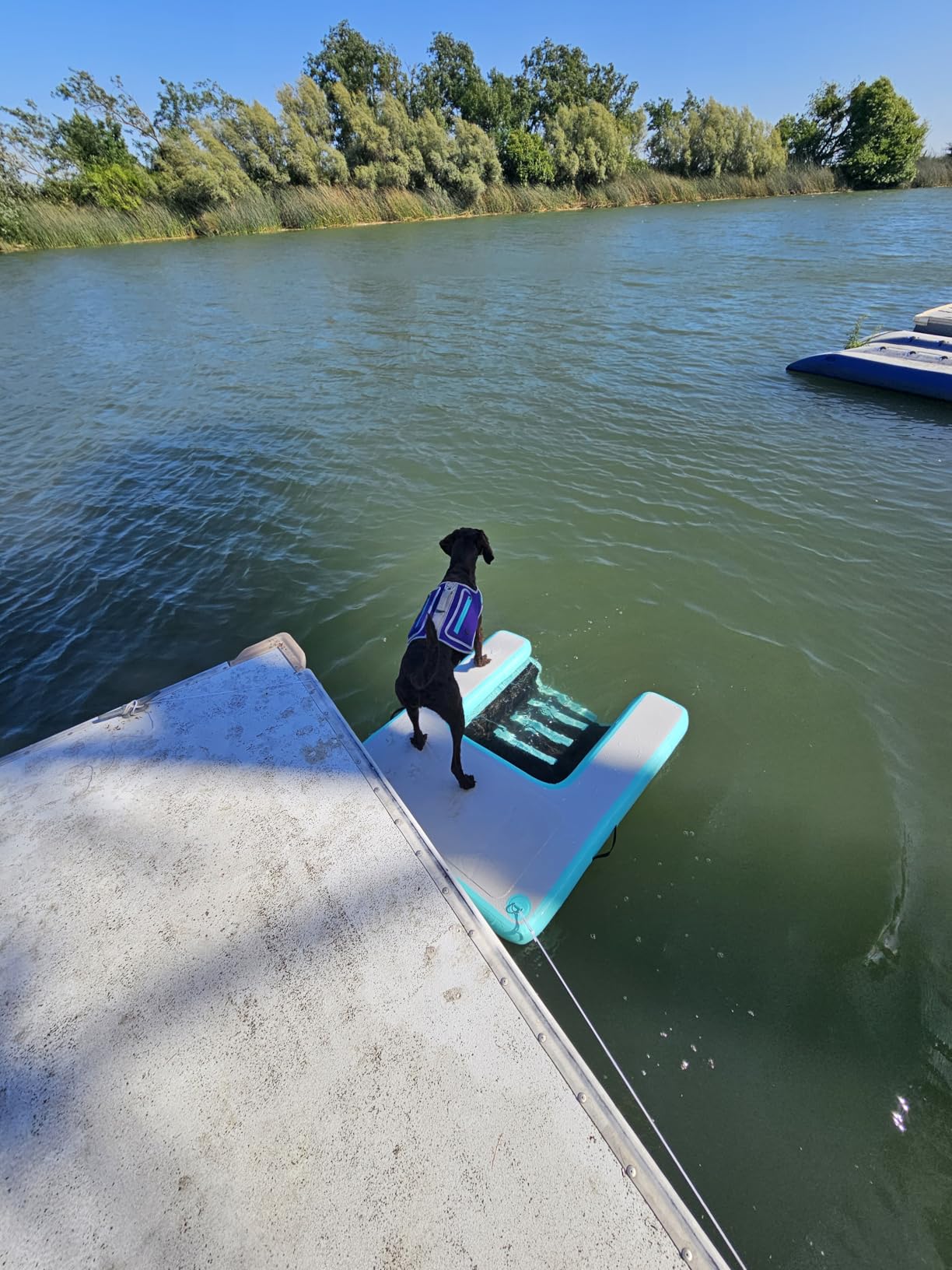 Inflatable Large Dog Water Ramp Float Floating Ramp-Swimming Pets Up to 200 Pounds Large Dogs-Inflatable Stairs for Boats, Docks, with Pump/Rope/Repair Kit - PVC Anti-Slip Fabric customer photo 2