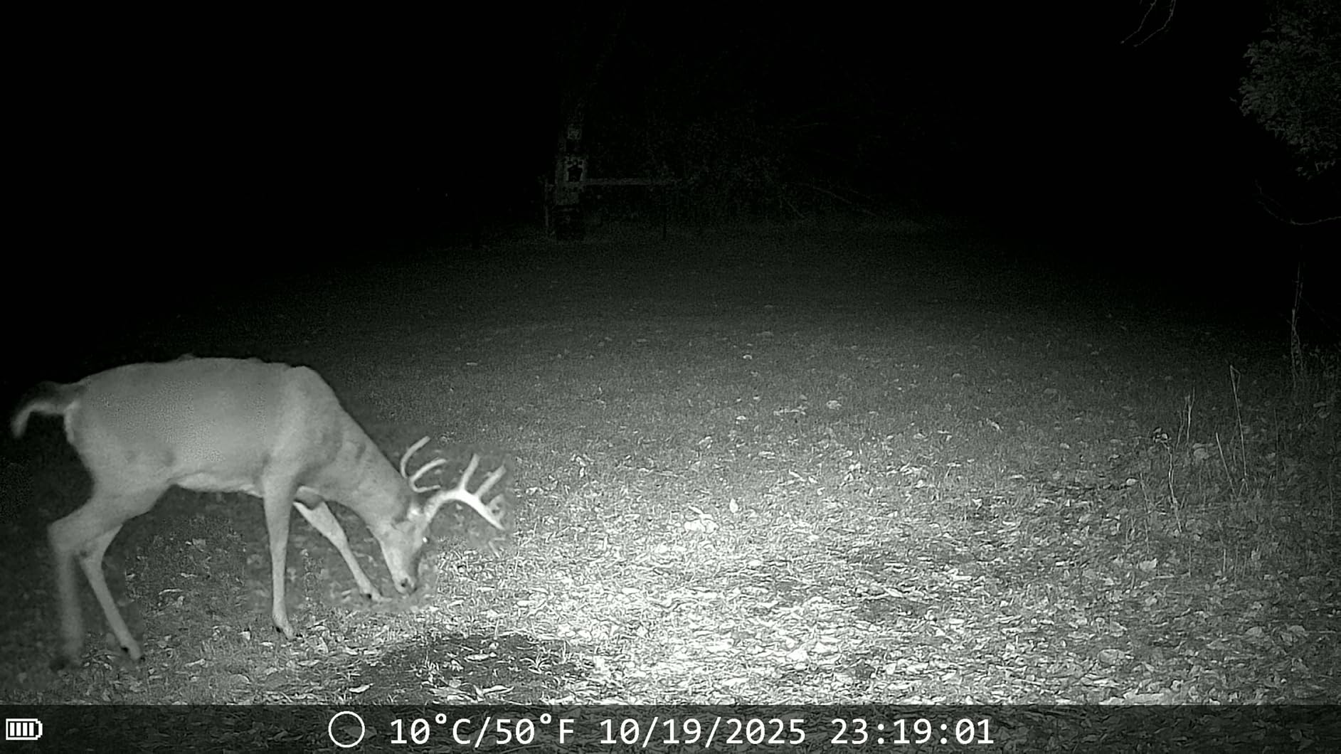 Trail Cameras with Night Vision Motion Activated - WiFi Bluetooth 4K 64MP customer photo 1