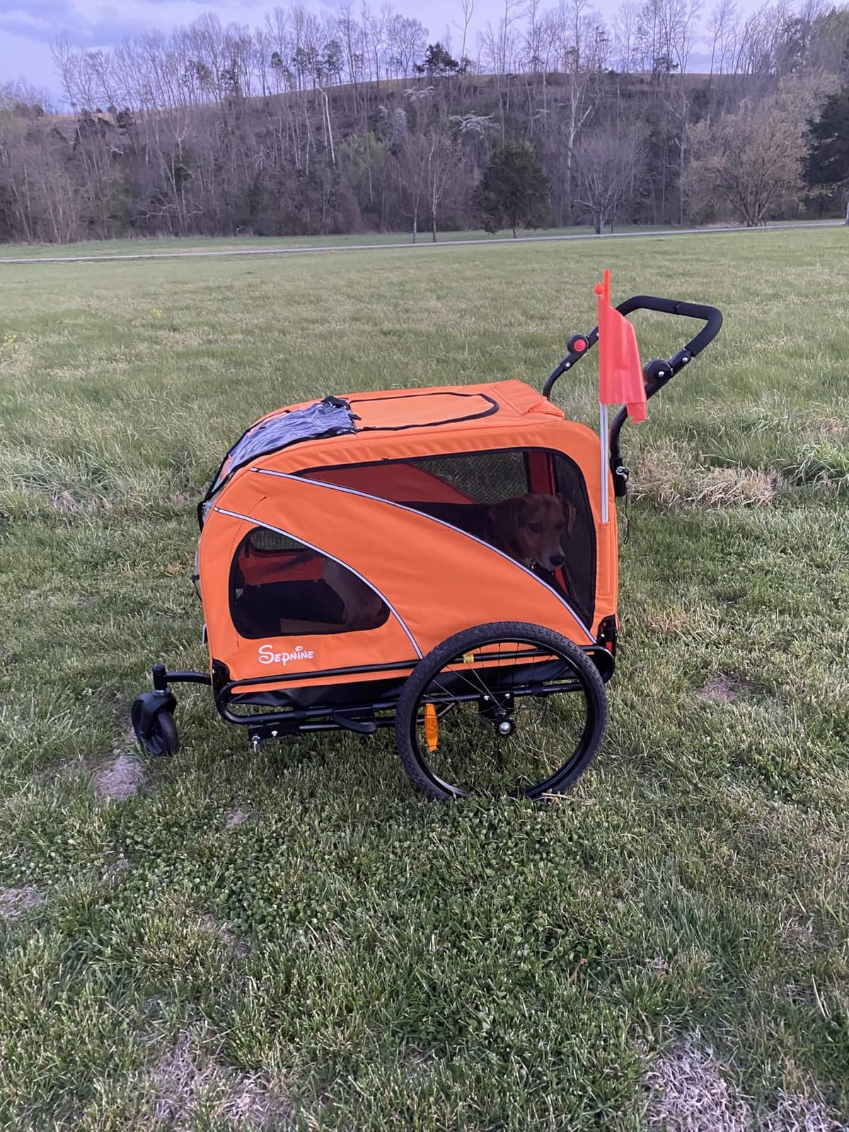 Sepnine Dog Bike Trailer, Supports up to 110 lbs, 2-in-1 Pet Stroller Cart Bicycle Carrier, Easy Folding Cart Frame with Quick Release Wheels, Universal Bicycle Coupler, Non-Slip Floor, Internal Leash customer photo 1