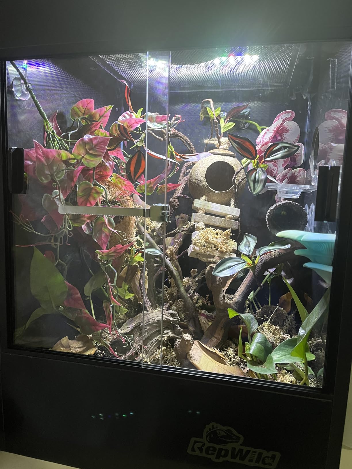 33 Gallon PVC Tall Reptile Terrarium, 18x18x24 Arboreal Enclosure customer photo 1