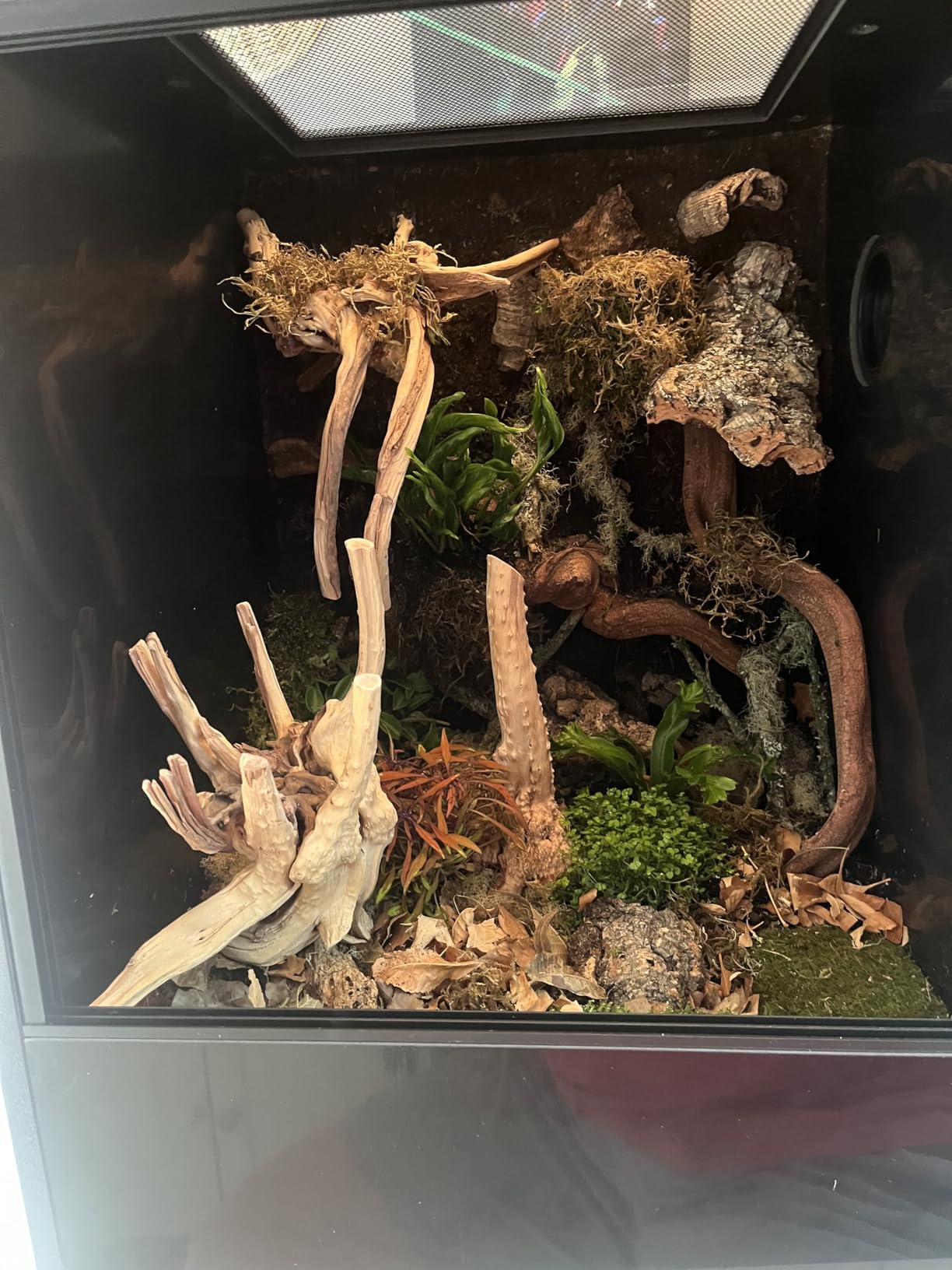 33 Gallon PVC Tall Reptile Terrarium, 18x18x24 Arboreal Enclosure customer photo 2