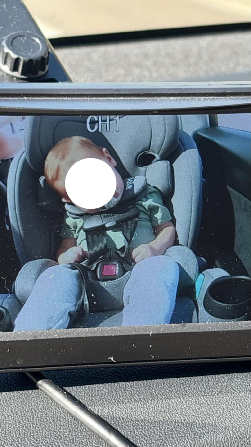 Joie Baby Saffron SI 4-in-1 Convertible Car Seat to High-Back & Booster customer photo 2