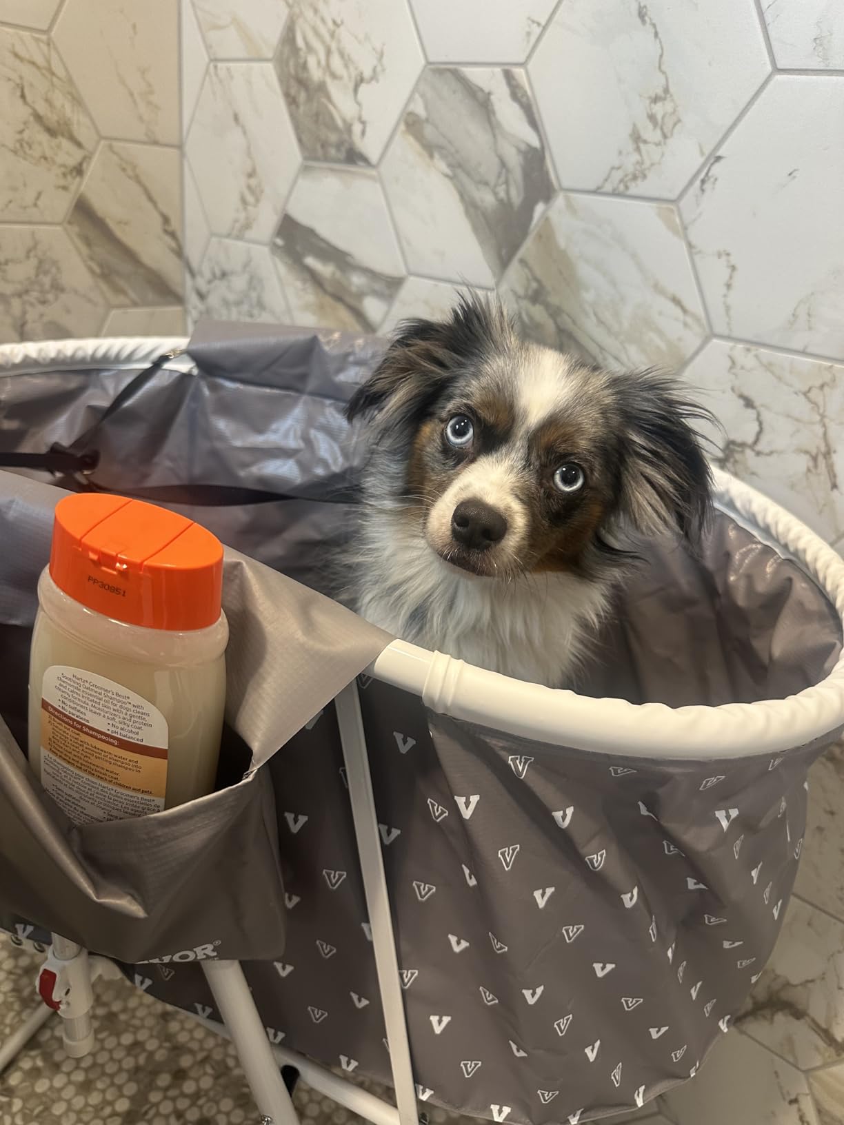 VEVOR Portable Dog Bathtub Foldable Pet Shower Station with Drain, Grey customer photo 1