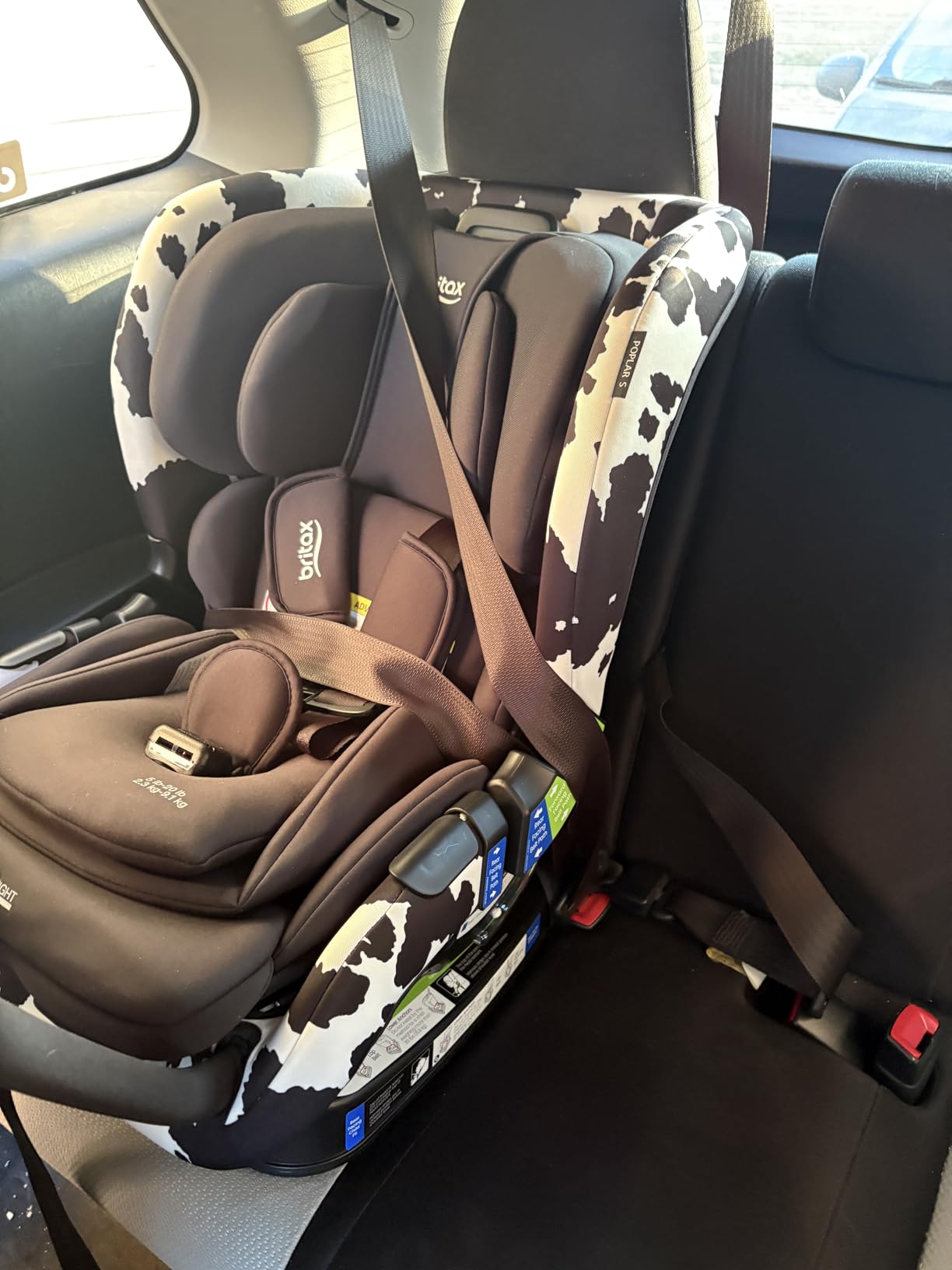 Britax Poplar S Convertible Car Seat, Slim 17