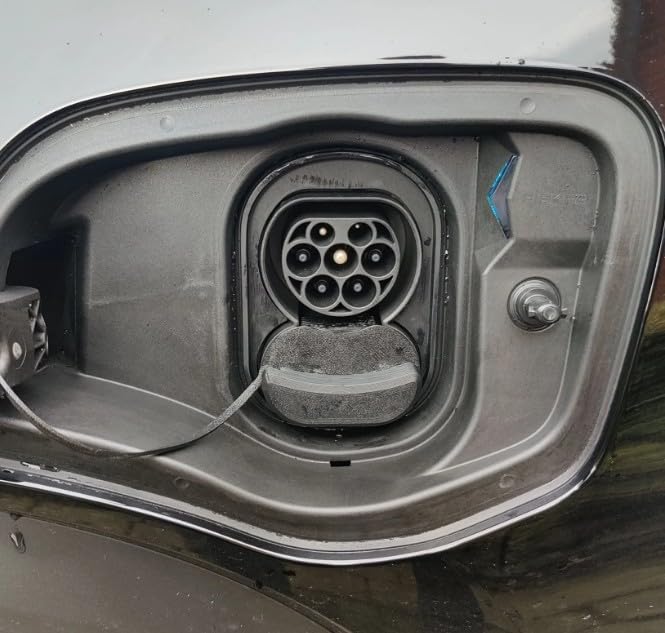 ELEGRP Level 1/2 EV Charger, 16 Amp, Portable J1772 Charger, 25FT Cable, NEMA 6-20 & 5-15 Adapter, Electric Car Charger 110V-240V for BEVs PHEVs, PBE & LRC Technology customer photo 1