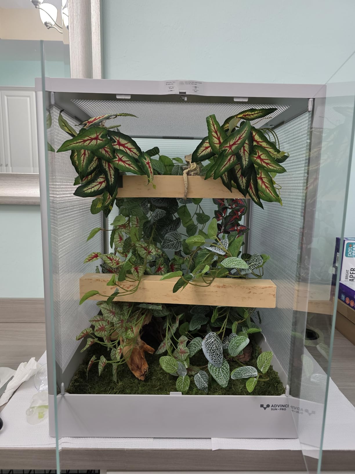 Reptile Terrarium 12