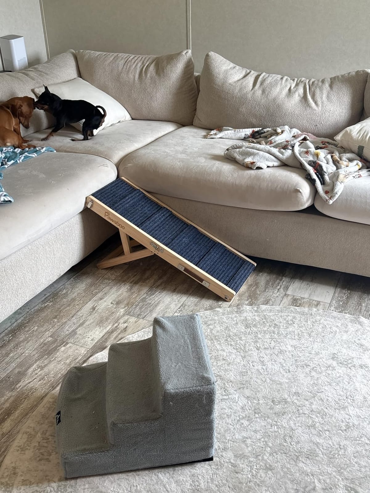 Pawaboo 2026 Upgraded Small Dog Ramp for Couch Foldable, 5 Adjustable Heights customer photo 1