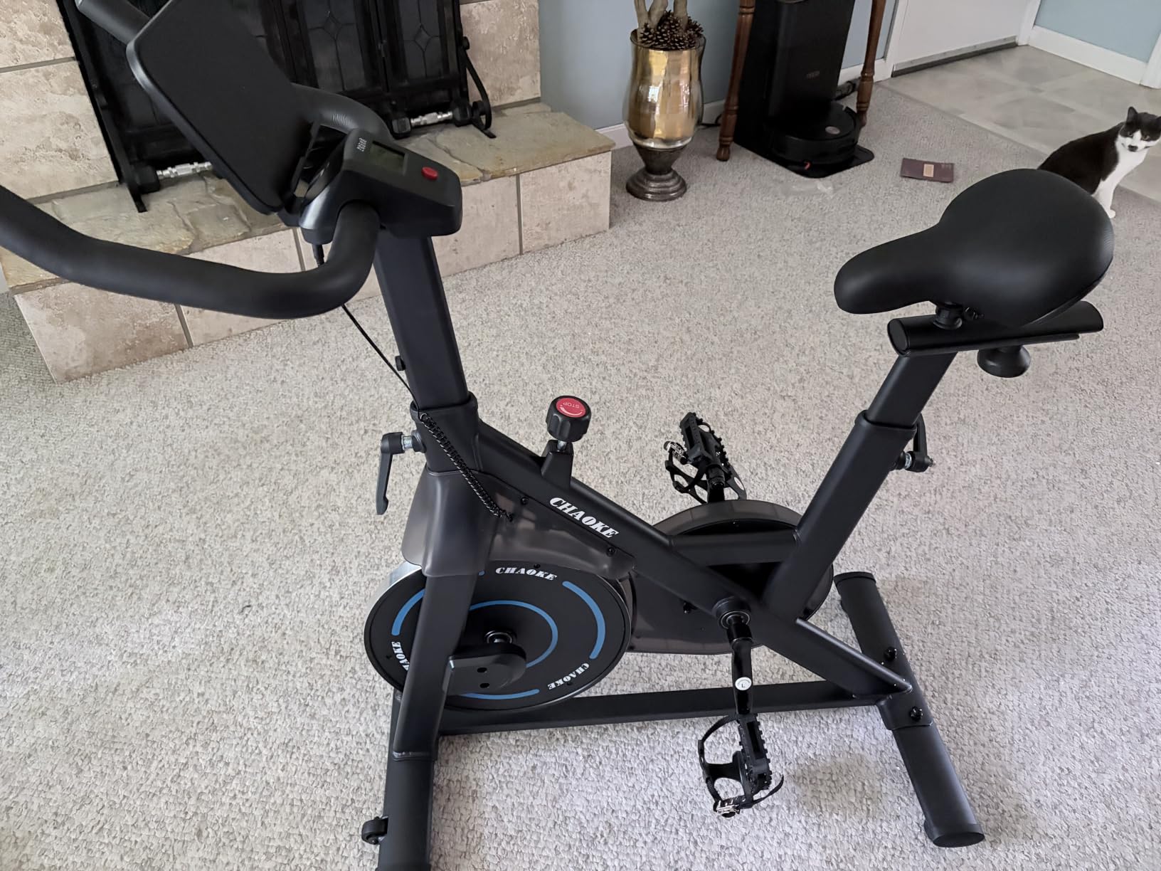 Exercise Bike, CHAOKE Quiet Adjustable Magnetic Resistance Stationary Bike for Home Cardio with App Compatible, 300LB Weight Capacity Indoor Cycling Bike with Comfortable Seat & Digital Display customer photo 2