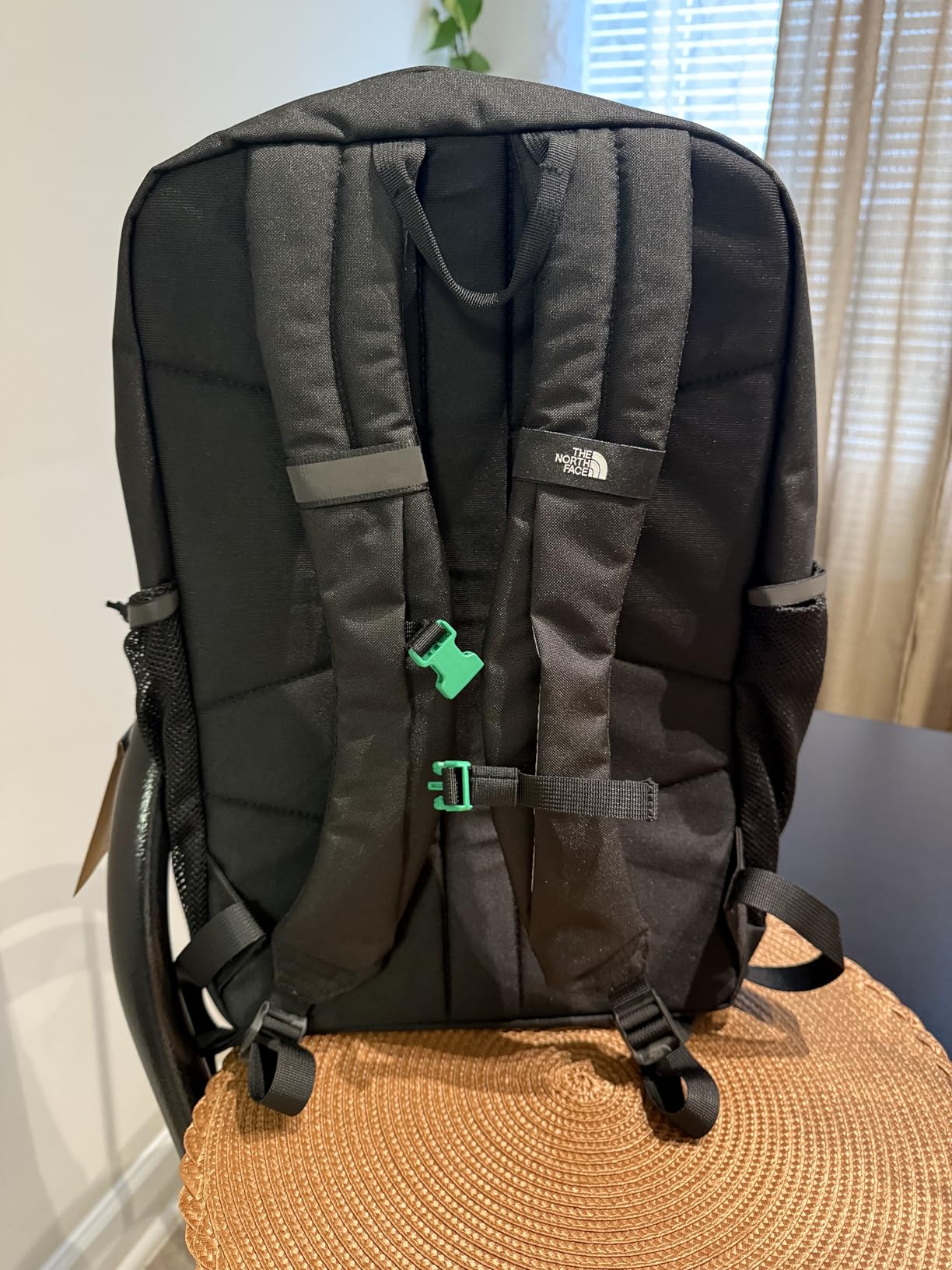 The North Face Kids' Court Jester Pack, Cedar/New Taupe Grn/Lava Red, OSFA customer photo 2