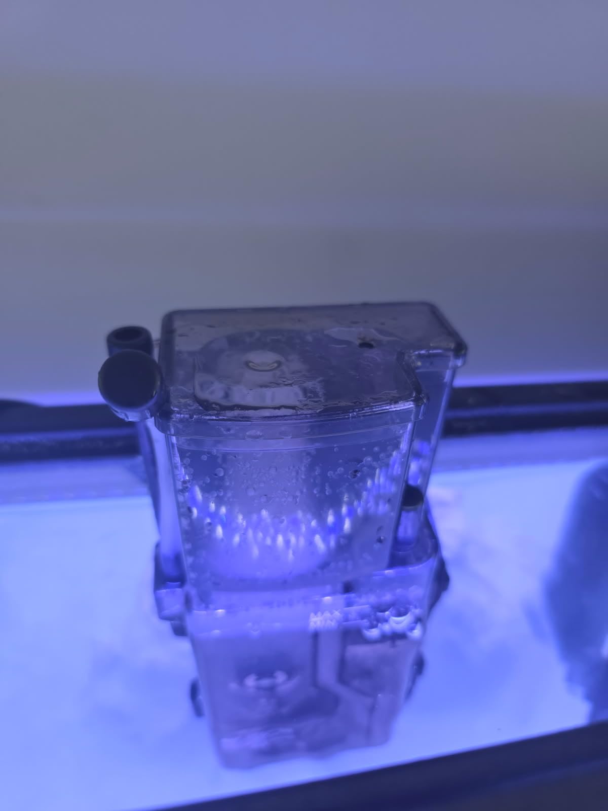 AQQA Aquarium Protein Skimmer for Saltwater Fish Tank customer photo 2