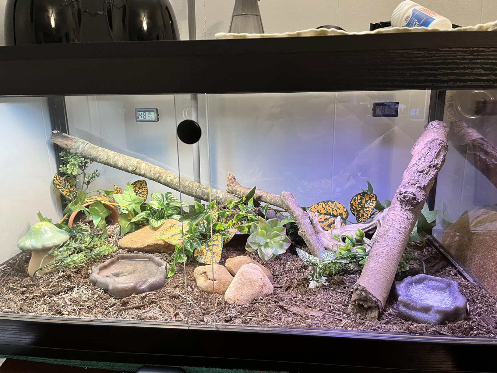 PROLEE 82 Gallon Bearded Dragon Tank, 48 x 20 x 20 Inch Tempered Glass Reptile Enclosure with Metal Mesh Top, Lockable Sliding Front Doors, Large Lizard and Snake Terrarium, Black customer photo 2