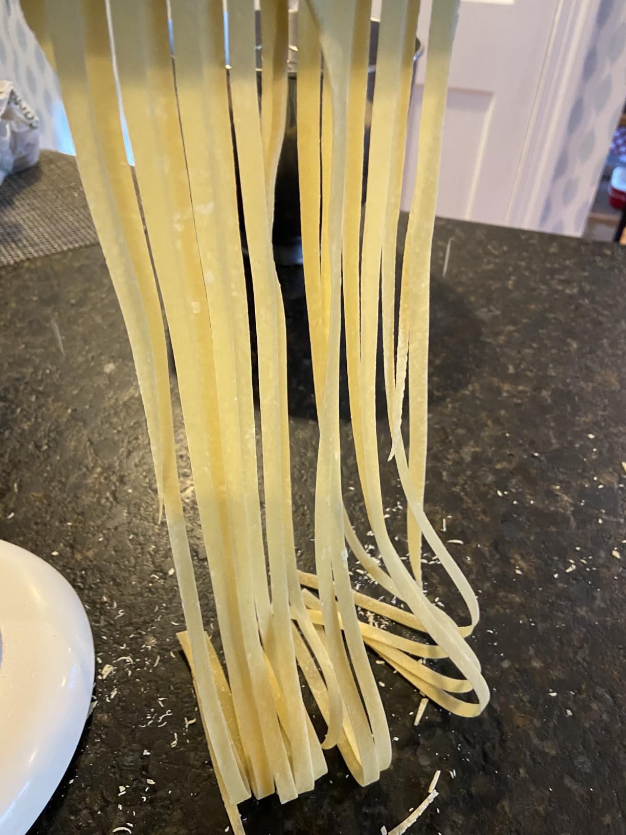 HOZODO Gourmet Pasta Press Attachment for KitchenAid Stand Mixers customer photo 1