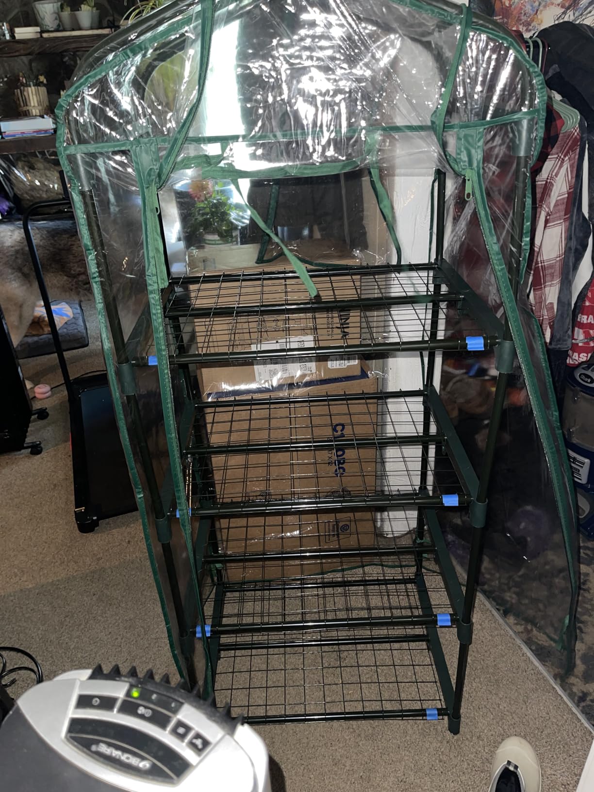 Miracle-Gro Walk-in Greenhouse, Removable Shelves, Clear, 4'8