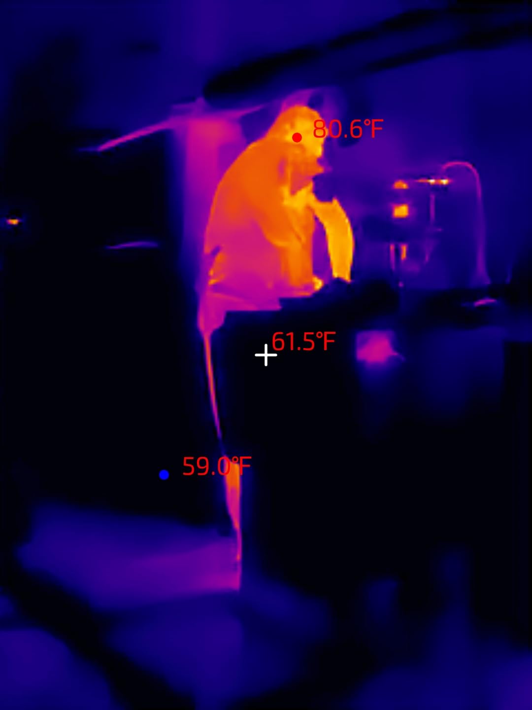 Thermal Master P1 Thermal Camera for USB-C iOS/Android, 320x240 Resolution customer photo 1