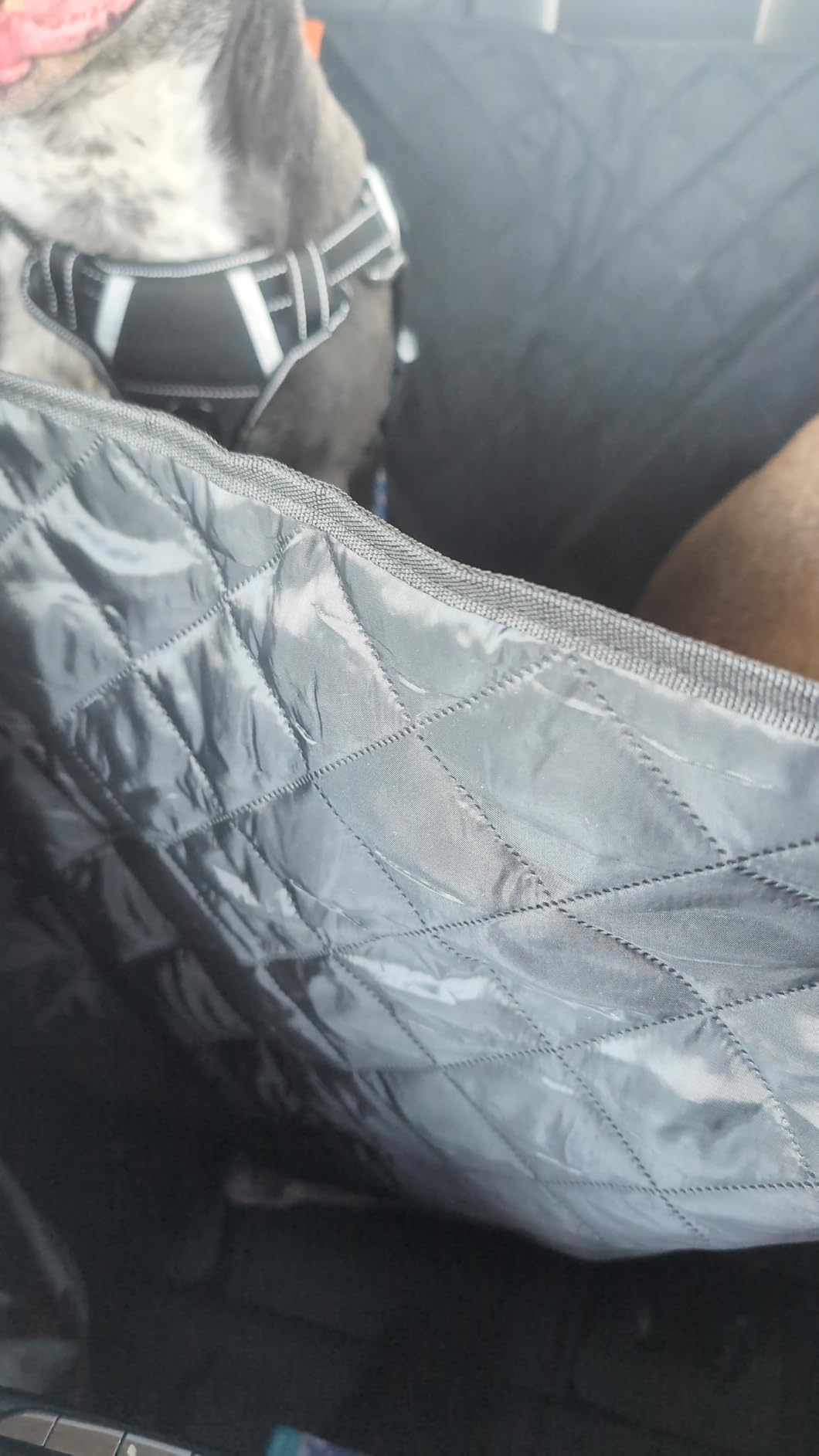 URPOWER Hard Bottom Dog Car Seat Cover for Back Seat, PU Leather Hammock | 400 lbs Support, 45% More Space, Waterproof, Scratch Resistant, Non-Slip, Mesh Window, Dog Seat Belt Included customer photo 1